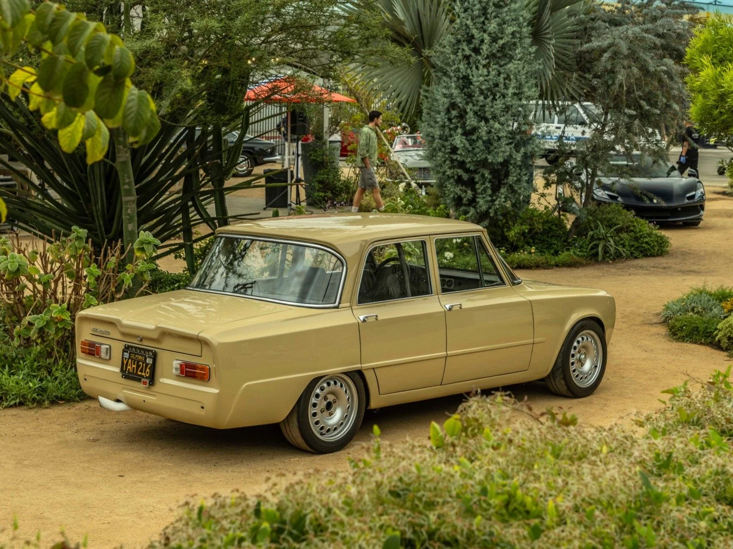 Alfa Romeo Giulia TI