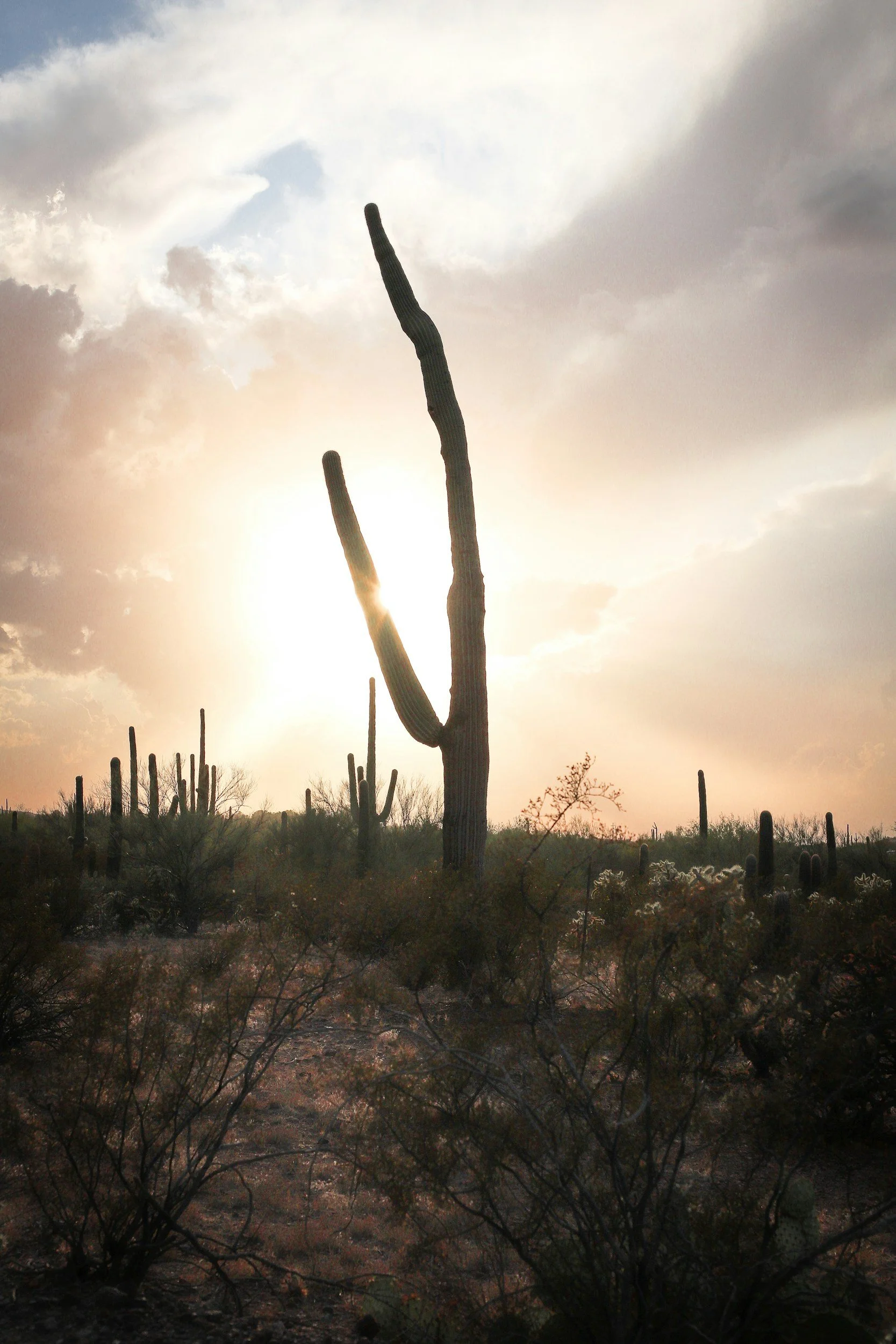 Feeling Down During Summer? You Might Be Experiencing Seasonal Depression in Arizona