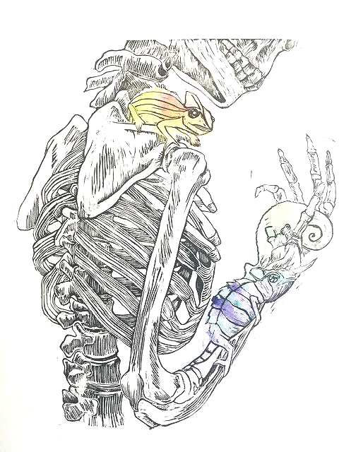 Skeleton (2020) - 14x11 in., Linocut, handprinted ink and watercolor on watercolor paper (SOLD OUT)