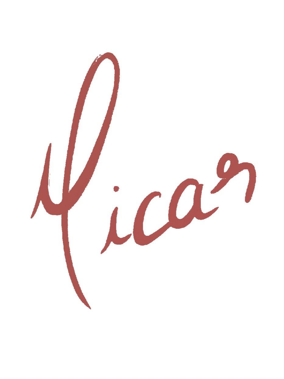 Picar - A Concept of Dining