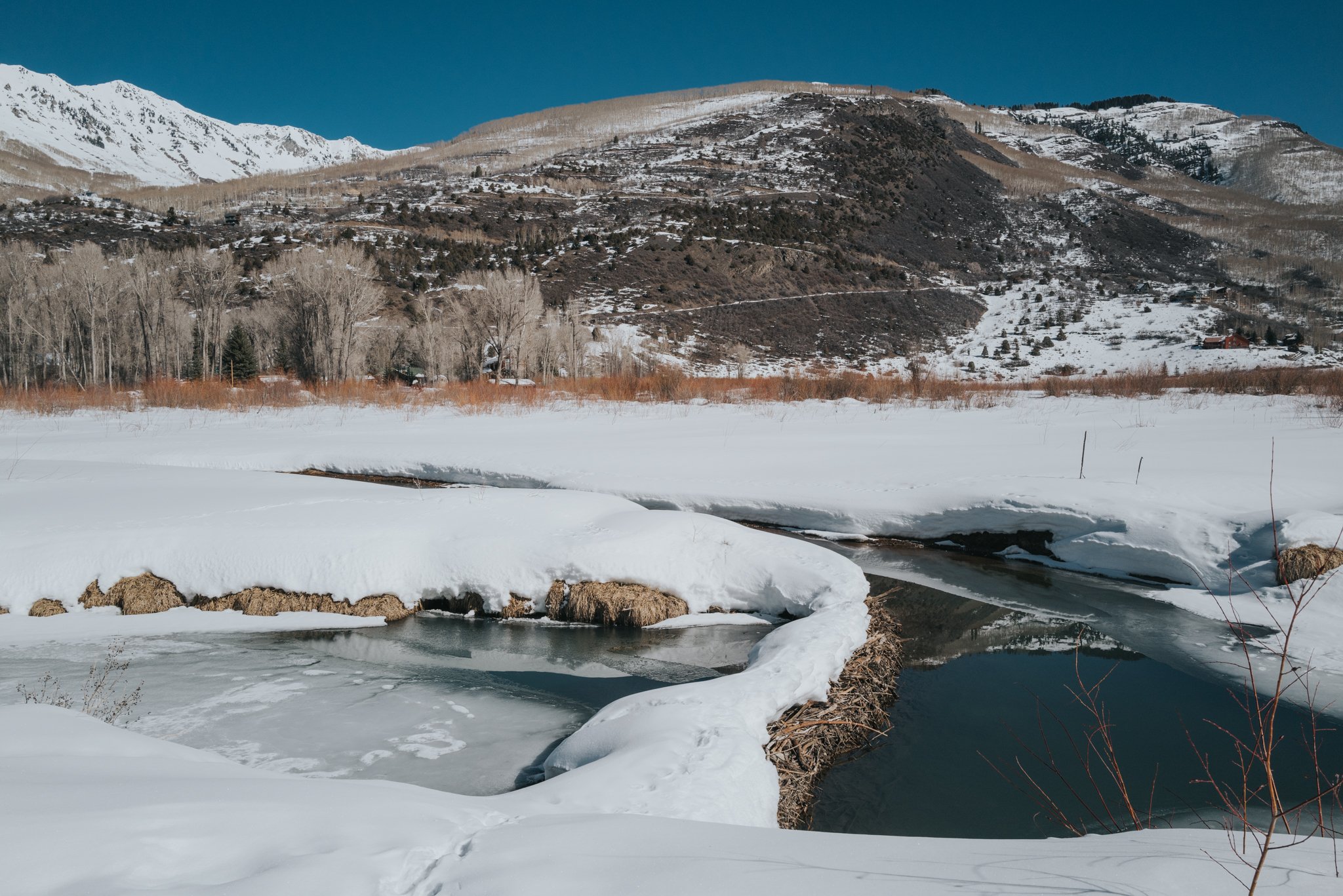 A beaver dam covered in snow in Marble, Colorado. Photo by Olivia Emmer.