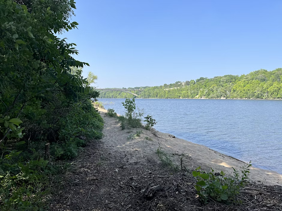 Nature Connected Professionals: Summer Gathering 2025