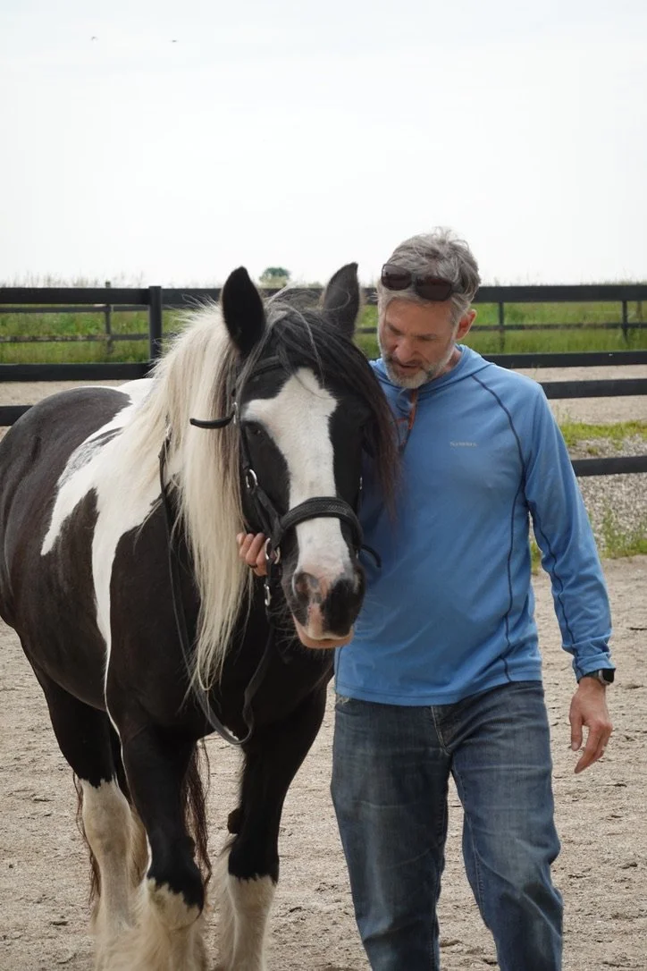When Horses Choose, and Leaders Learn to Pull - not Push