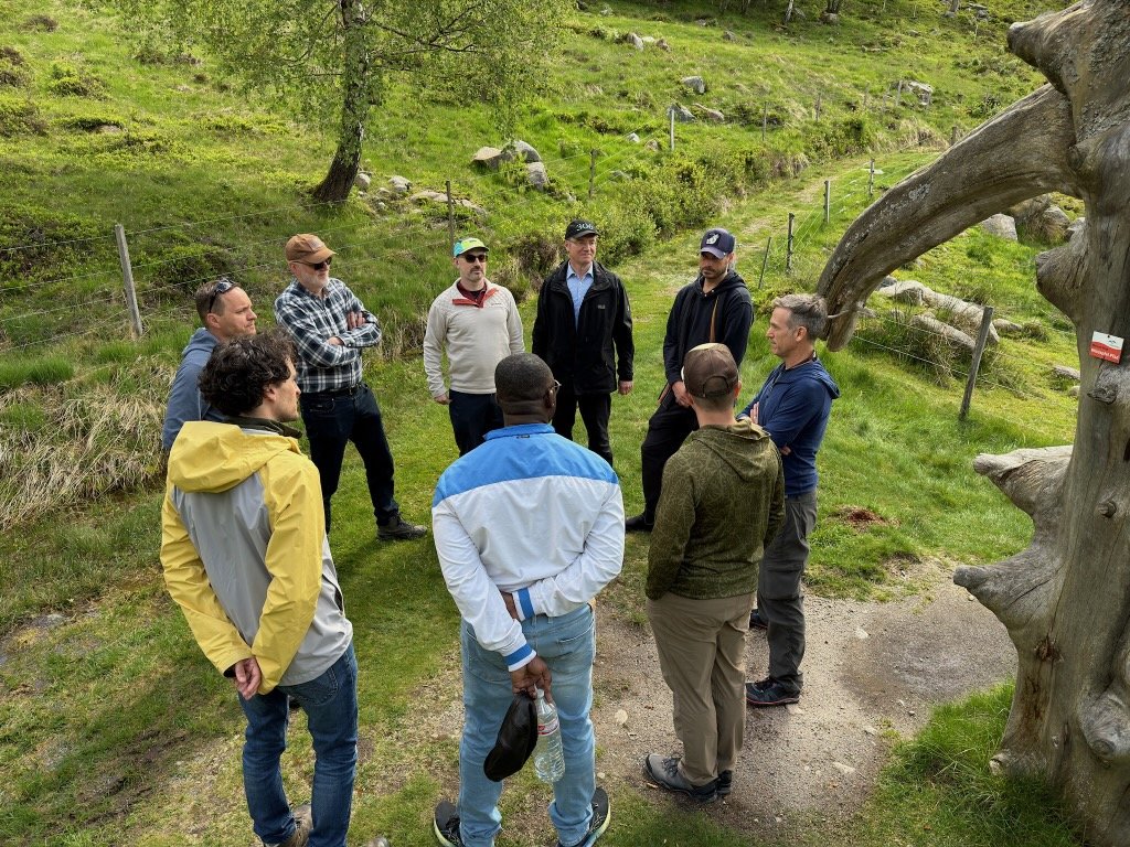 Founders Oasis- 3-Day Nature Retreat - Black Forest, Germany