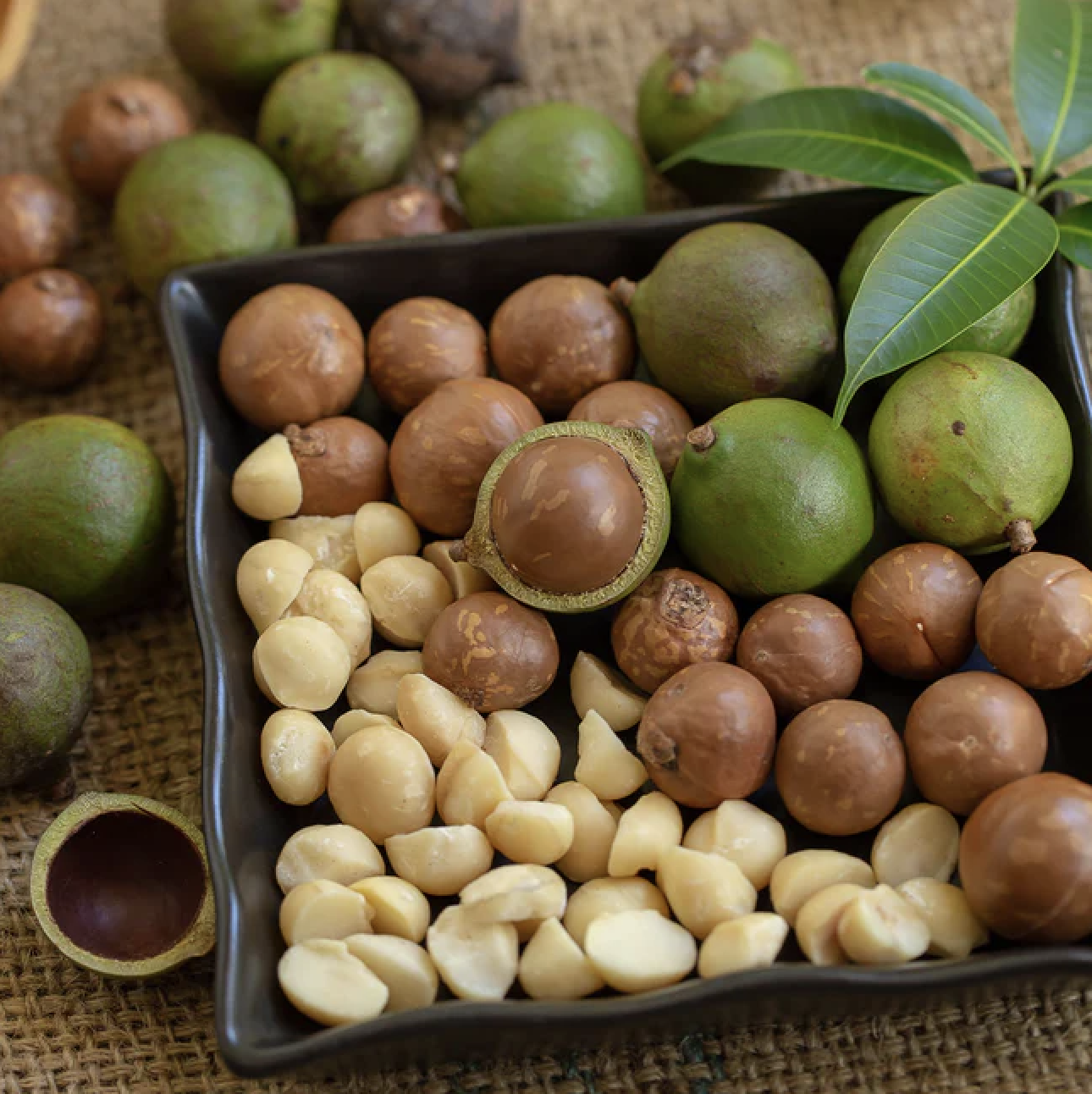 16 Reasons to Go Nuts for Nuts