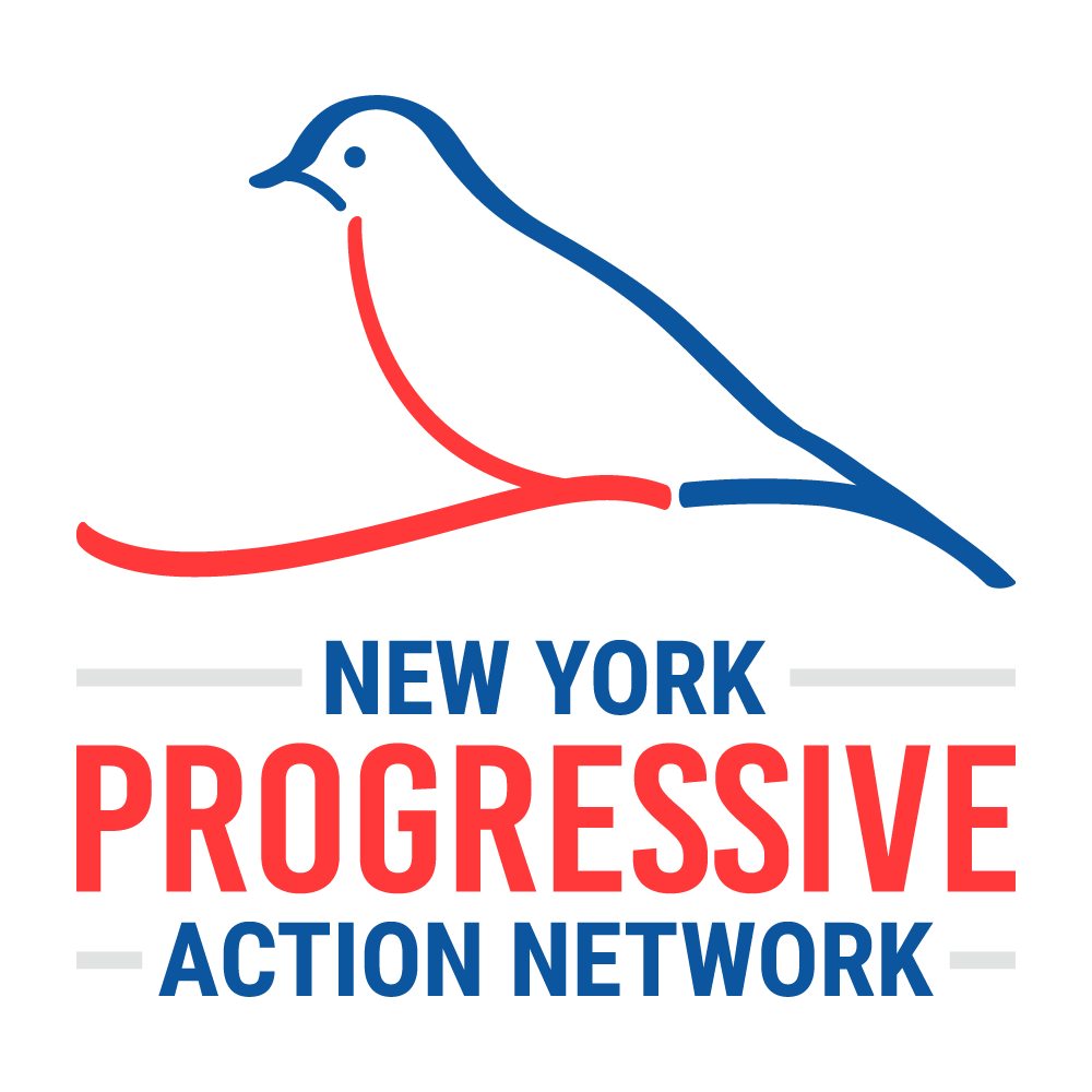 New York Progressive Action Network (NYPAN)