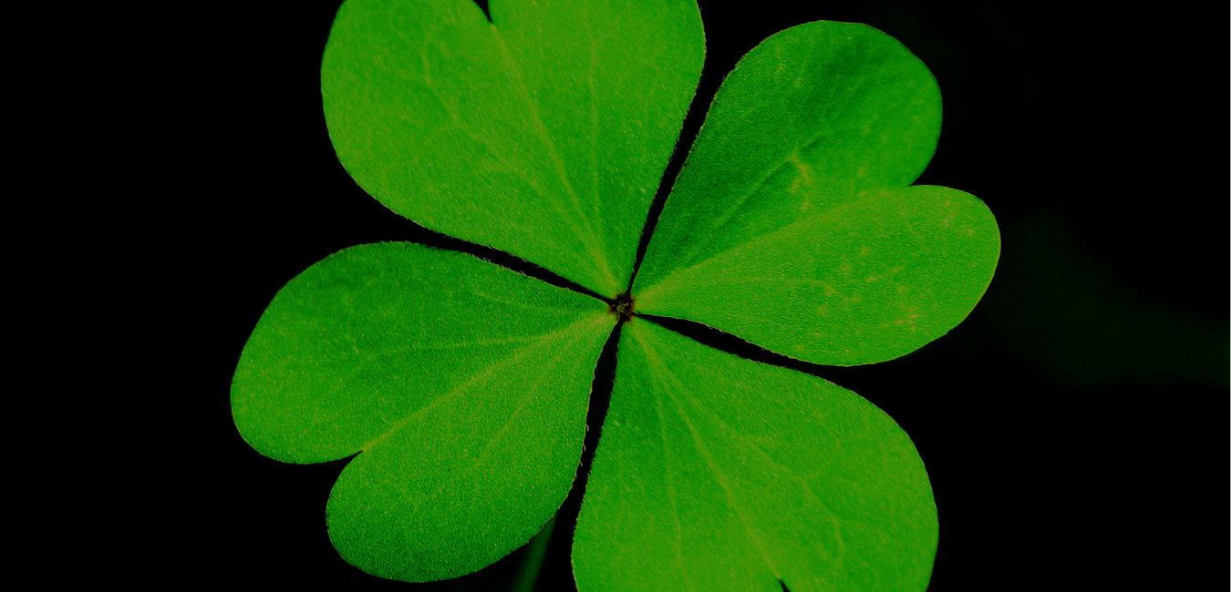 Prosperity-NatashaMorningstarr++(Website)+Image+Only.png