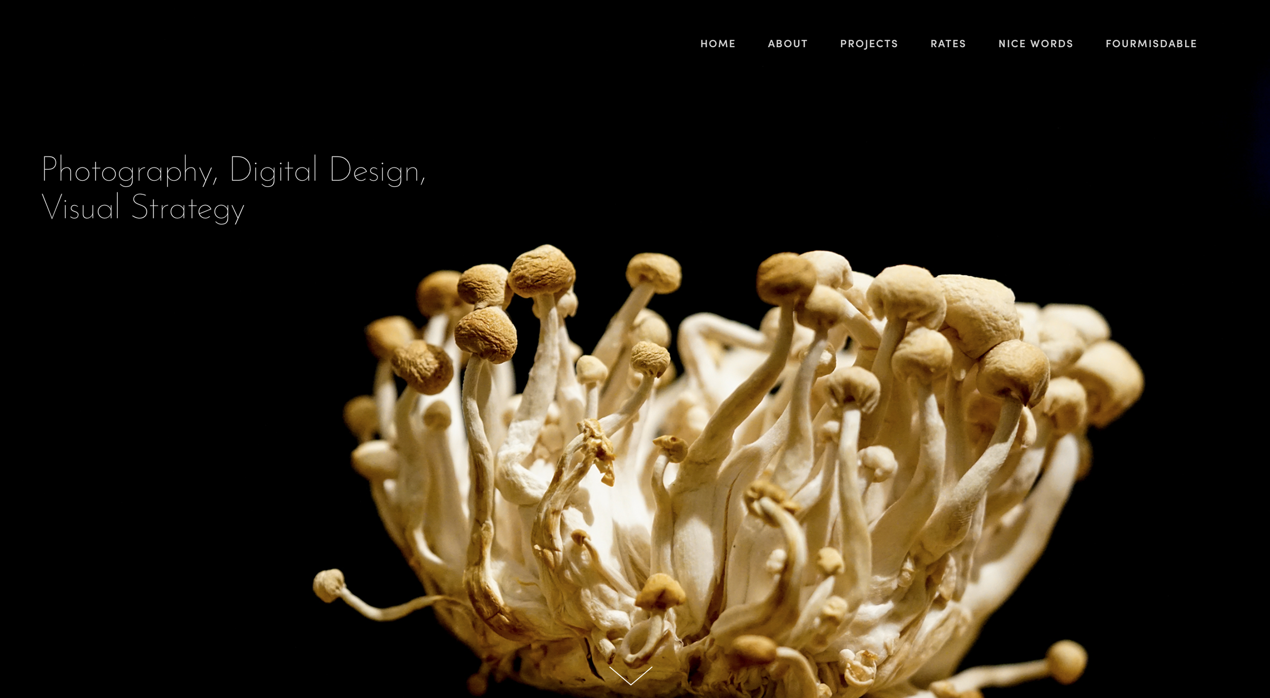 McMushroom, LLC - Photography, Graphic Design (Copy)