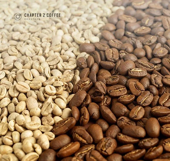 Coffee Roast Levels Guide: Light vs Medium vs Dark Explained