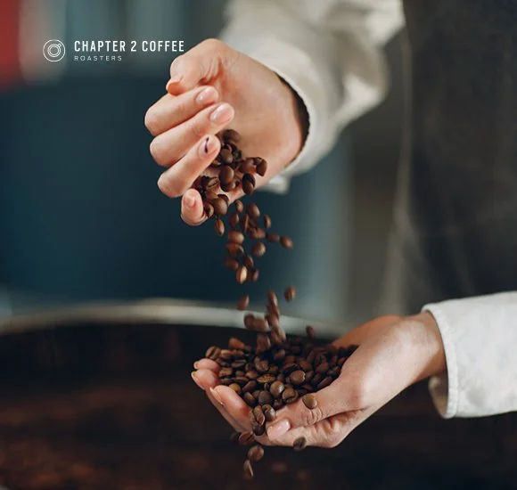 Coffee Roasting 101: The Complete Beginner’s Guide