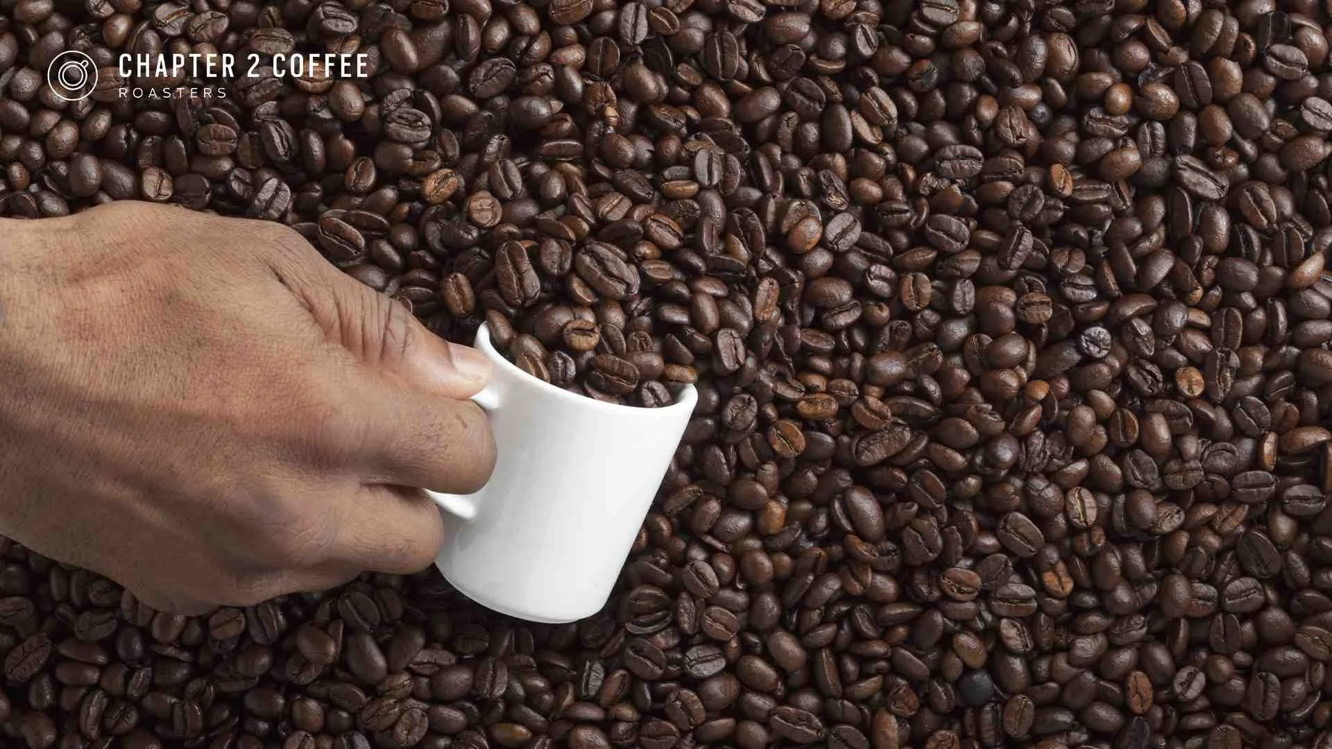 The Beginner's Guide to Understanding Espresso-Based Drinks