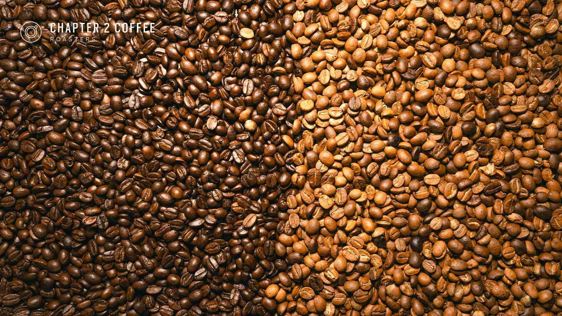 Single-Origin vs. Blends: Which One Should You Be Drinking?