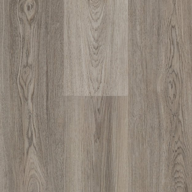 Silver Oak (EP-561).jpeg