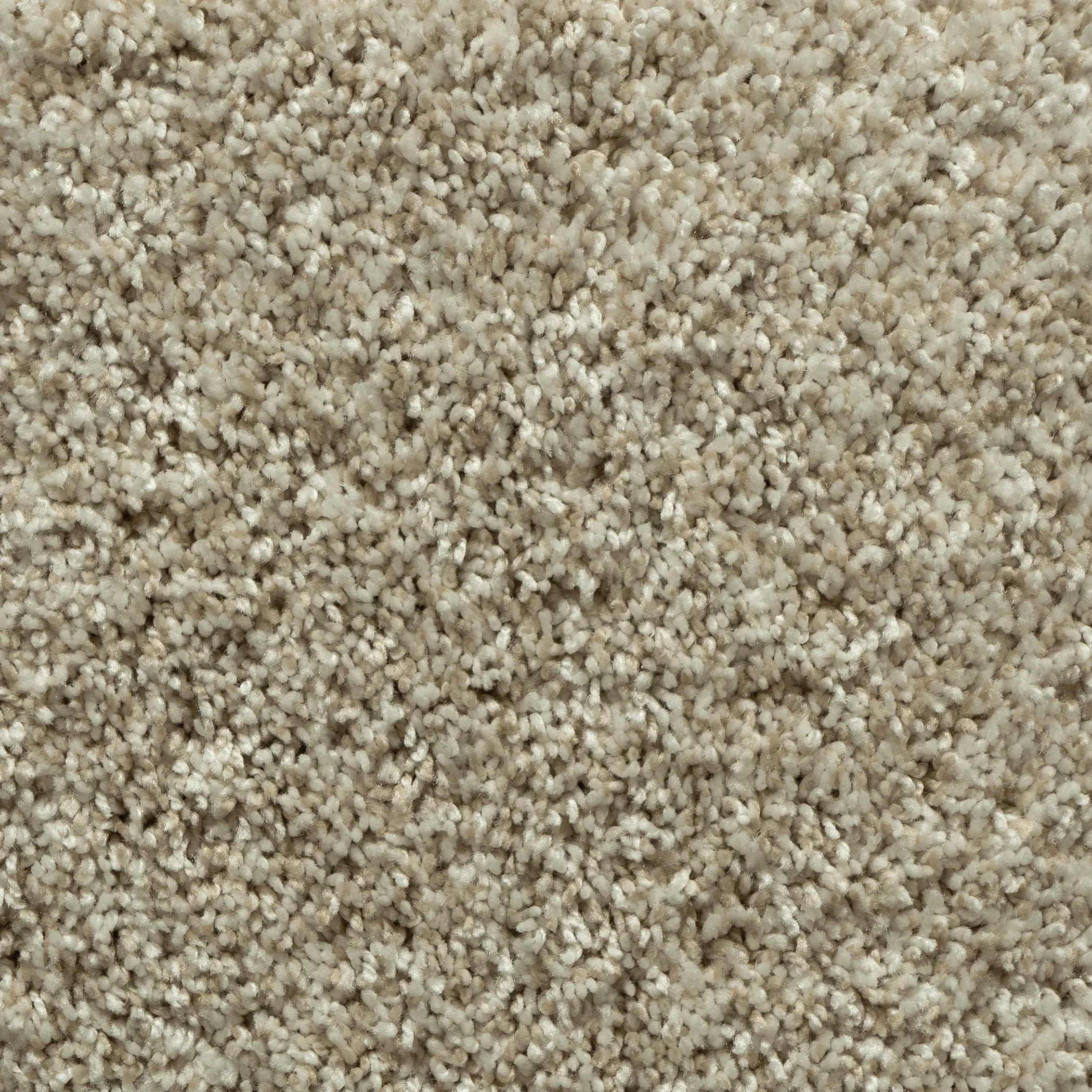 Porcelain (CN-1).jpg