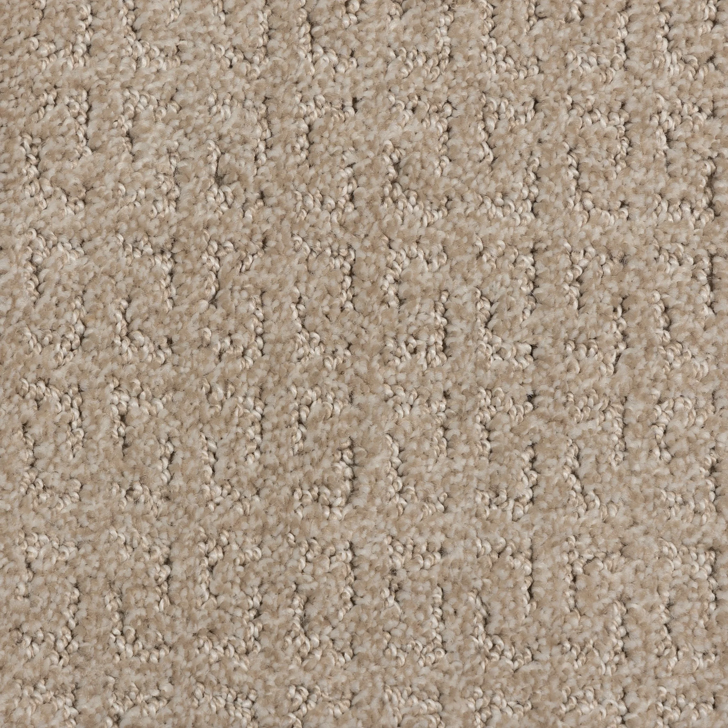 Sand Swept (RF-5).jpg