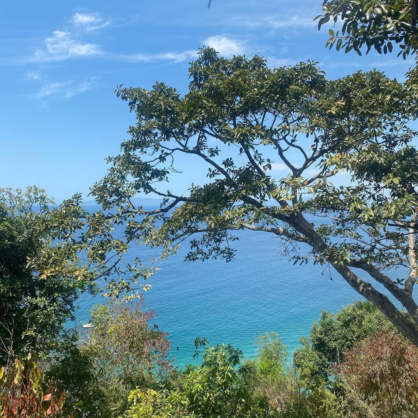 I spent last week in Mexico having my heart and mind absolutely blown at the @d.a.y.l.u.n.a &ldquo;Golden Purpose&rdquo; retreat at Xinalani in Puerto Vallarta. It was wild climbing an average of 34 flights of stairs a day up the side of the mountain