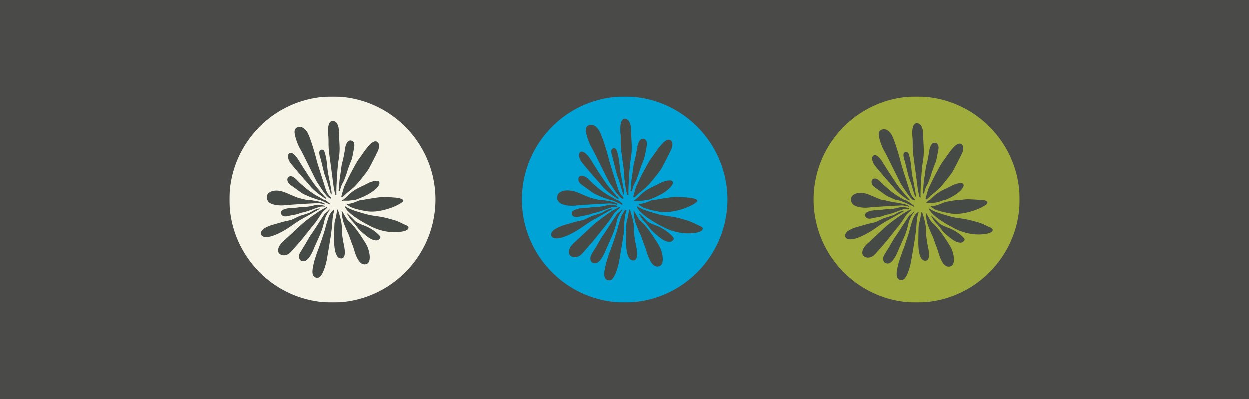 Lucida Icon design
