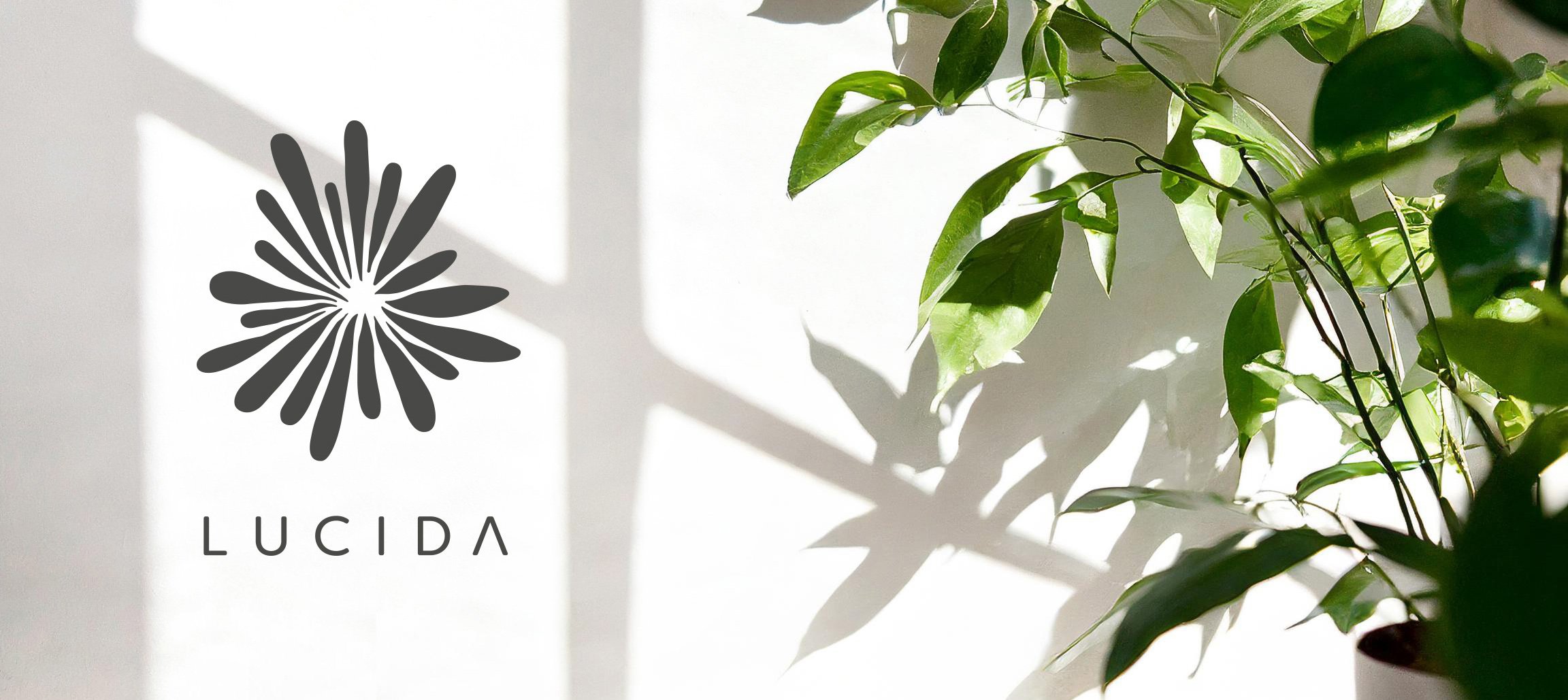 Lucida Interior Design brand