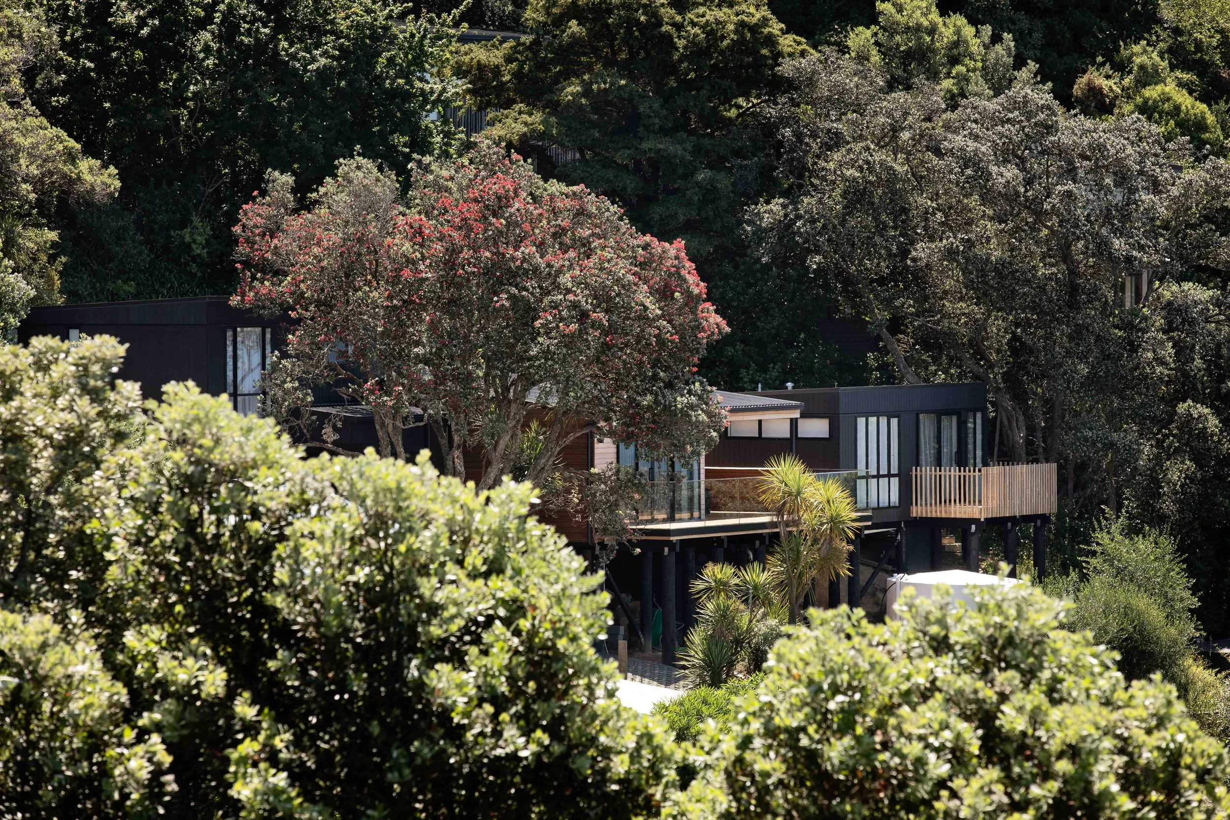 I Am Developer Waiheke Onetangi-3-3.jpg