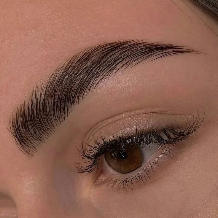 Close-up of a well-groomed eyebrow and brown eye with lashes