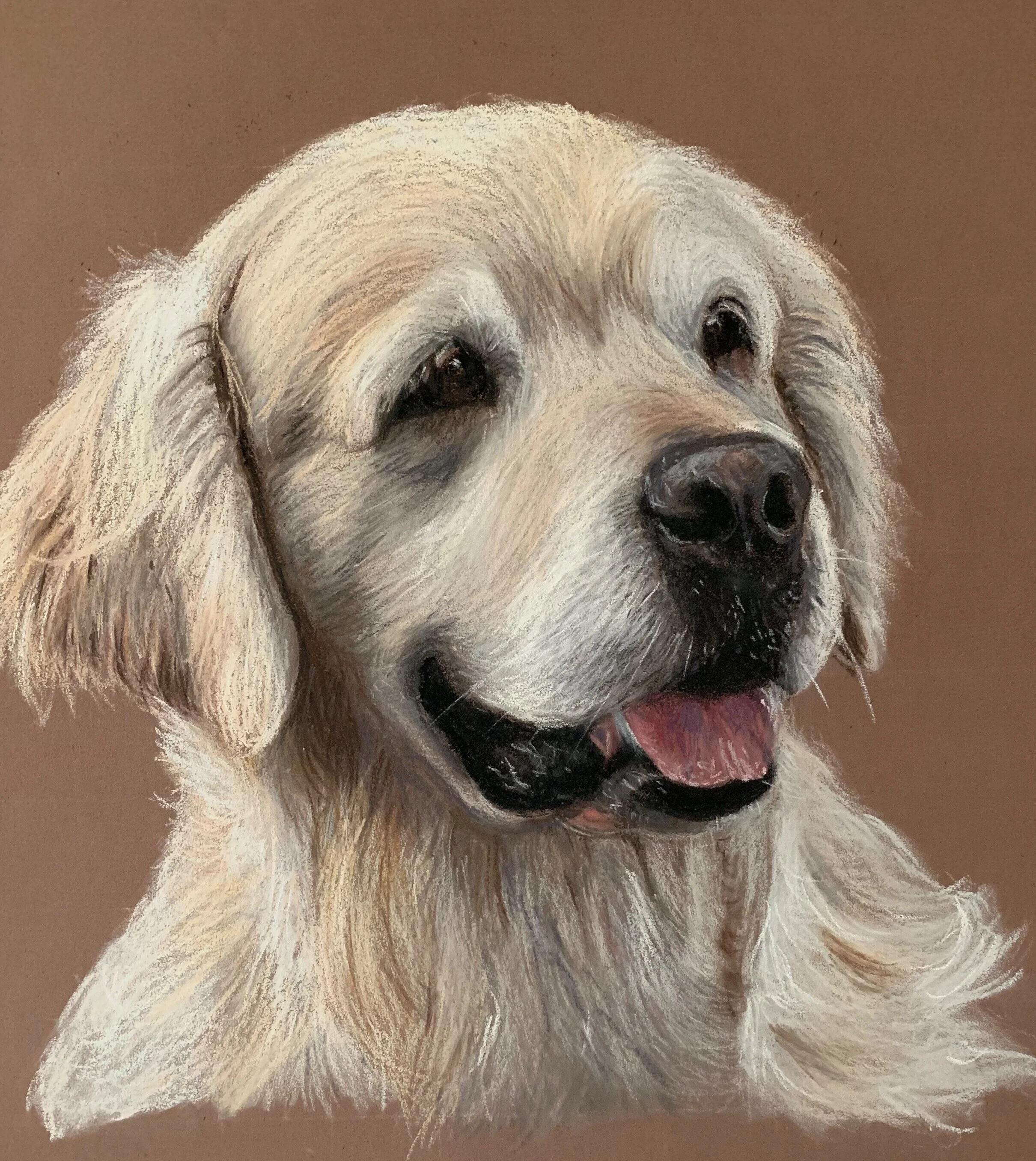 "Maddox" - Soft pastels and Pastel Pencils on Pastel mat