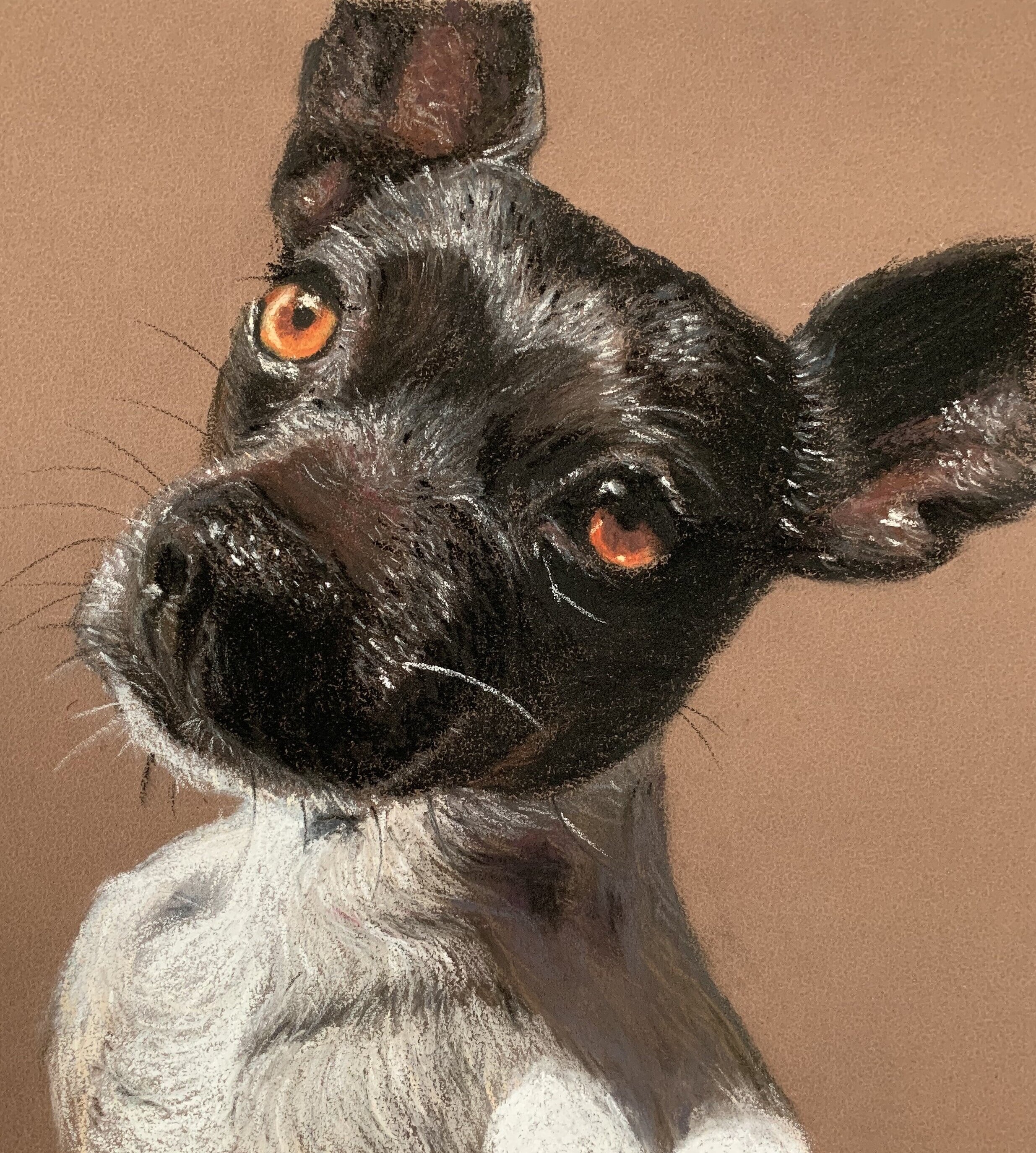 Soft Pastels and Pastel pencils on pastel paper