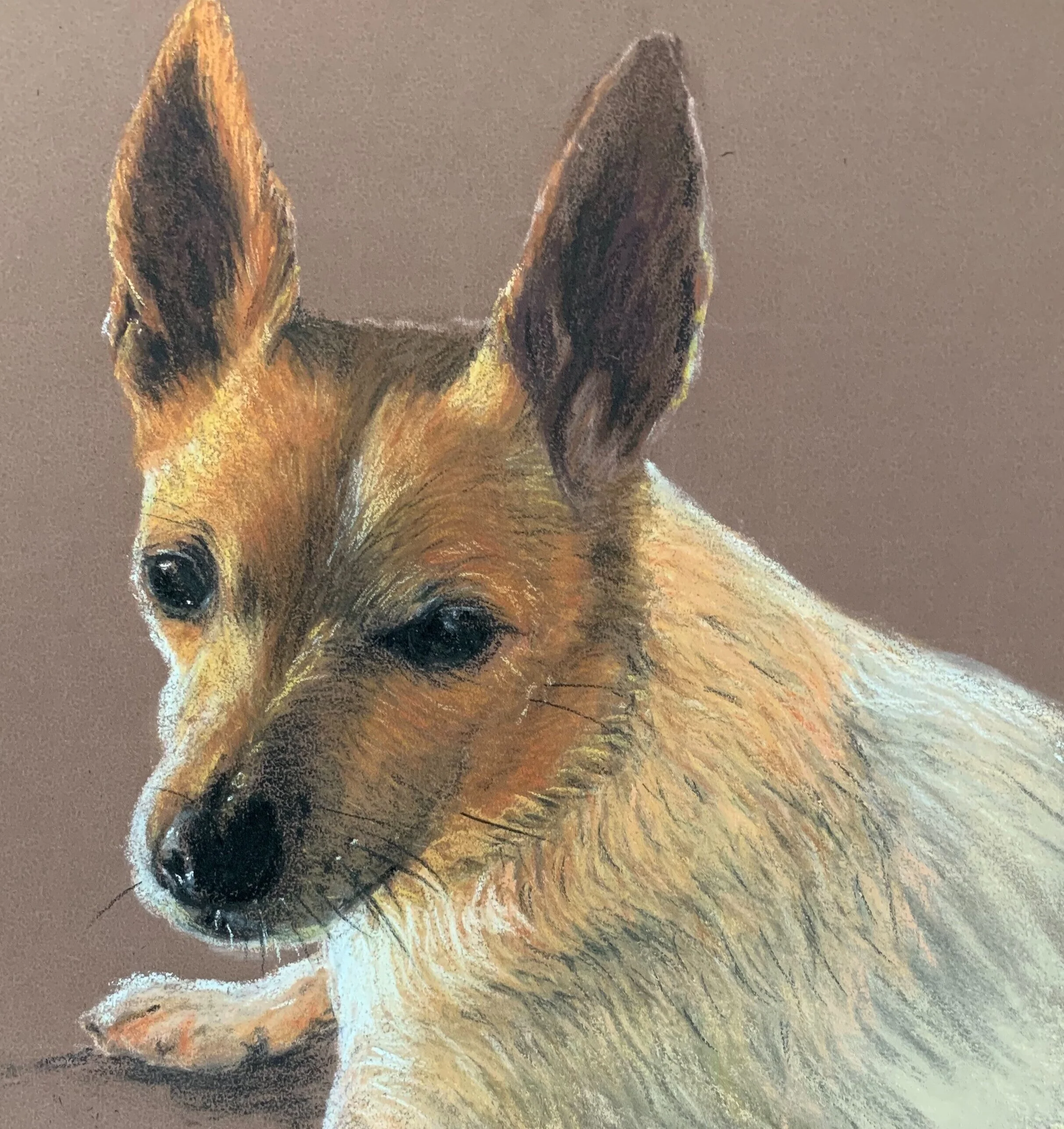 Soft pastels and pastel pencils on pastel paper
