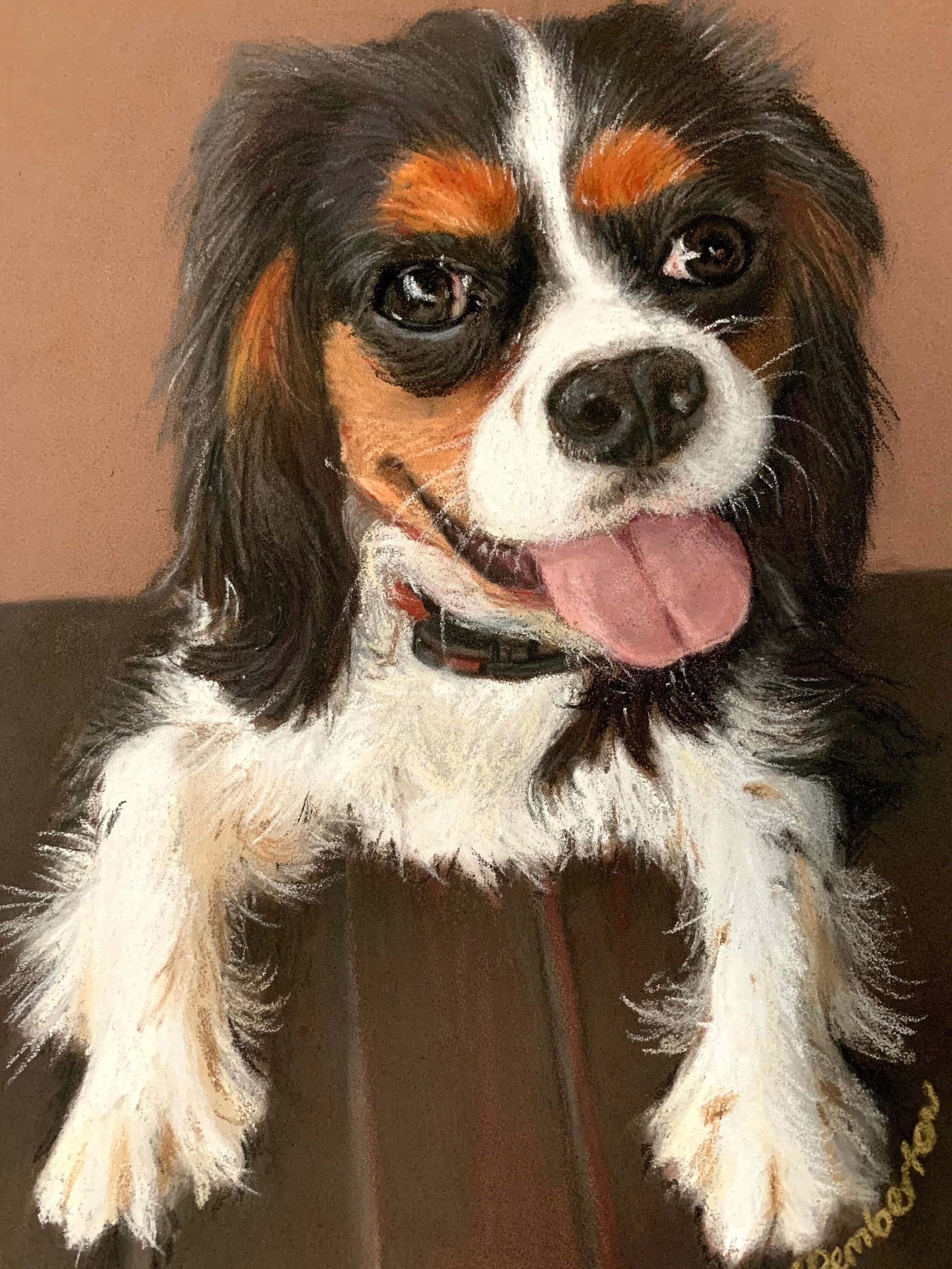 Cavalier - Soft pastels and pastel pencils on pastel paper