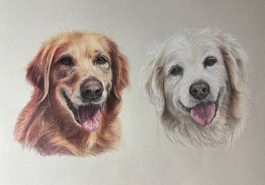 "Best mates" - Colour pencil on paper. 