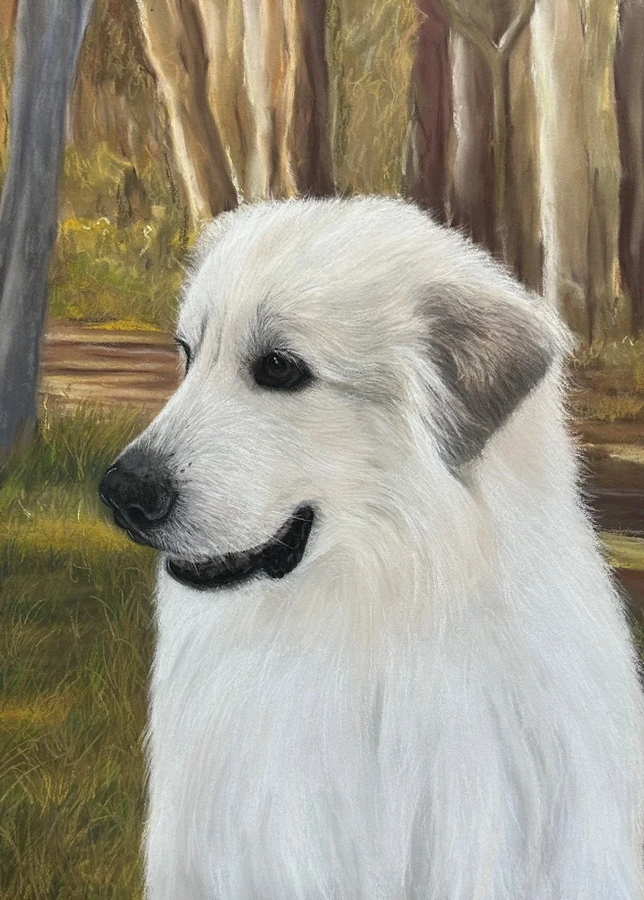 "Belle" - Soft Pastels on pastel card. 