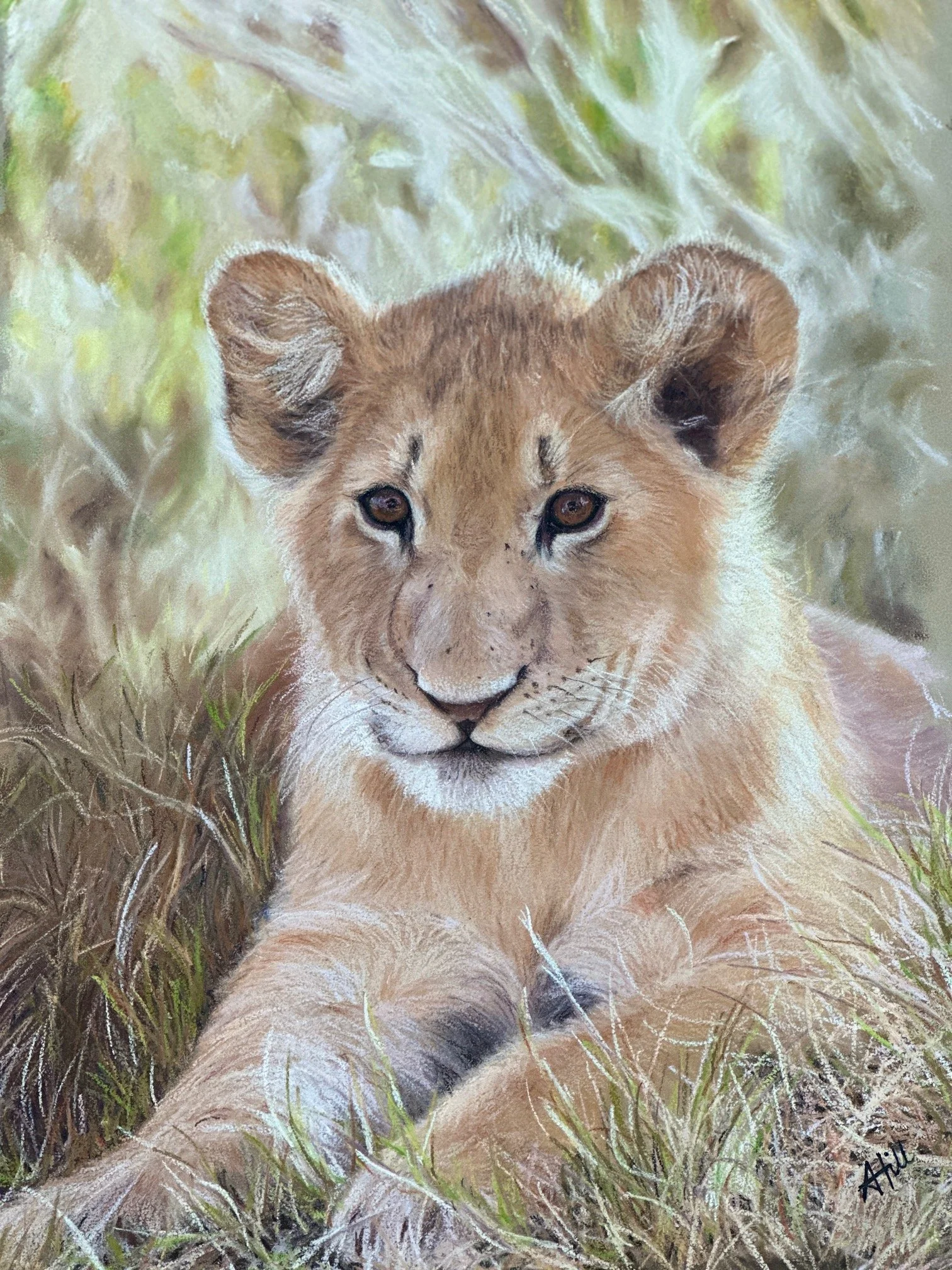 International Wildlife