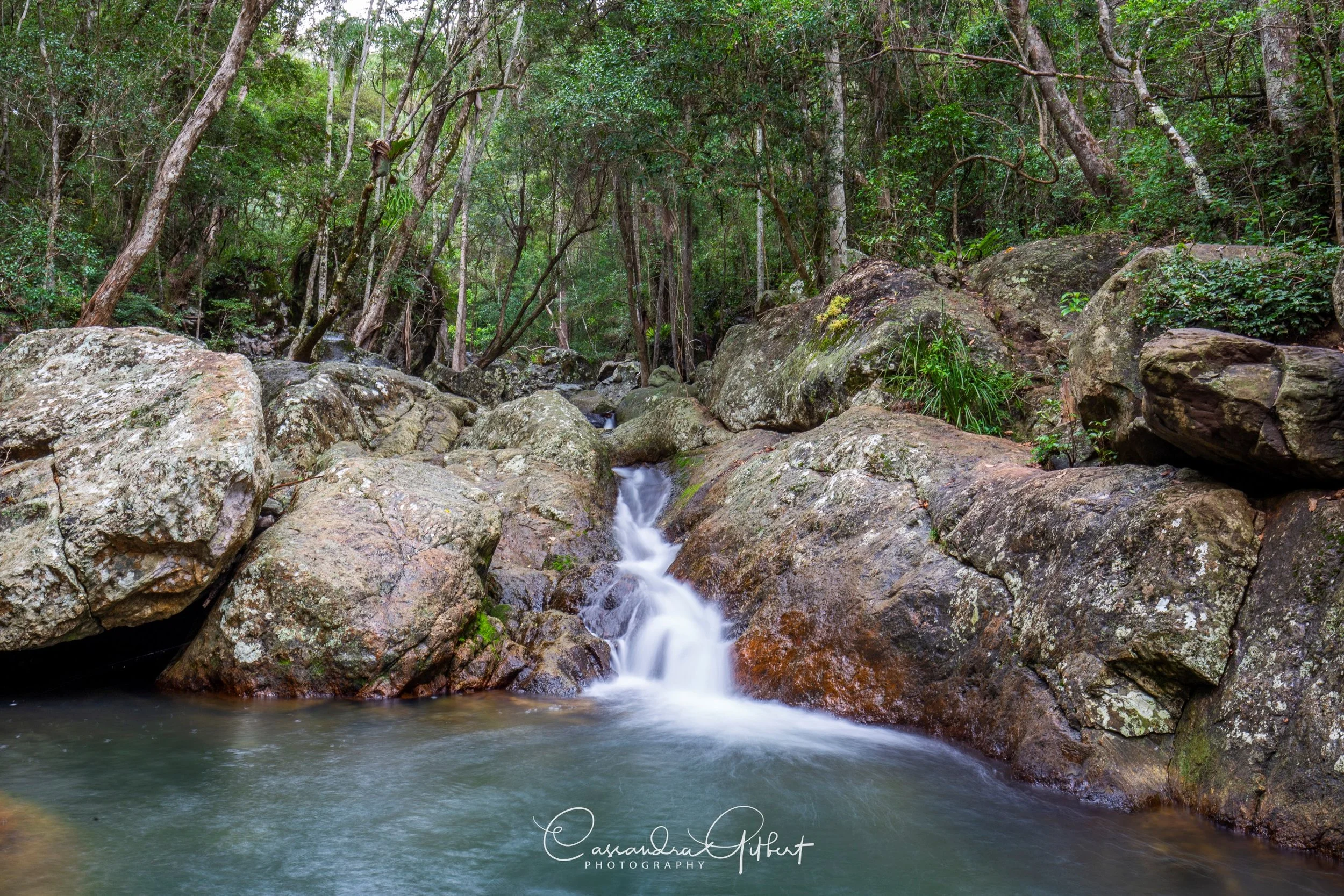 Cedar Creek - Mount Tamborine, QLD