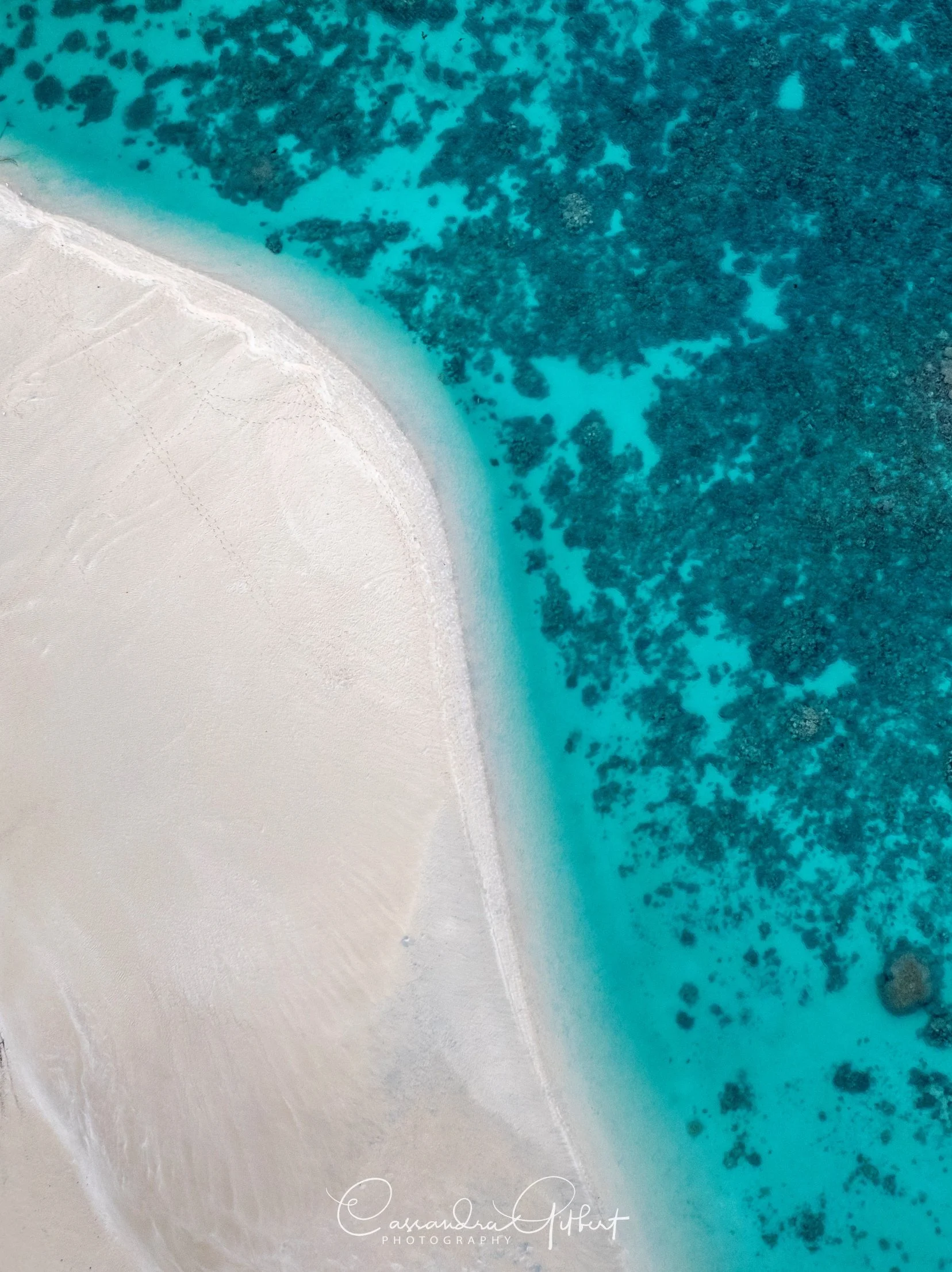 Coral Bay 03