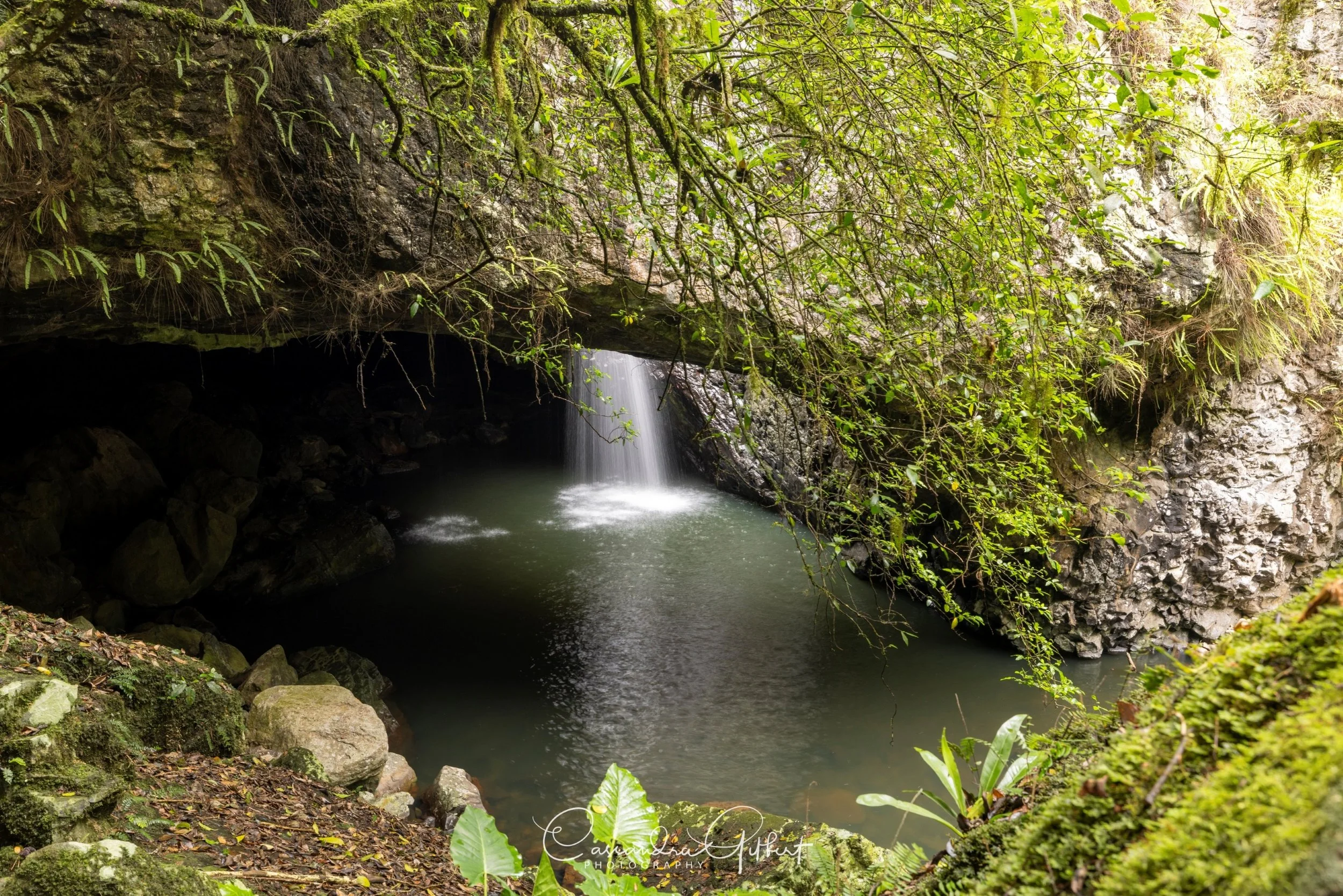 Natural Bridge - Springbrook National Park, QLD