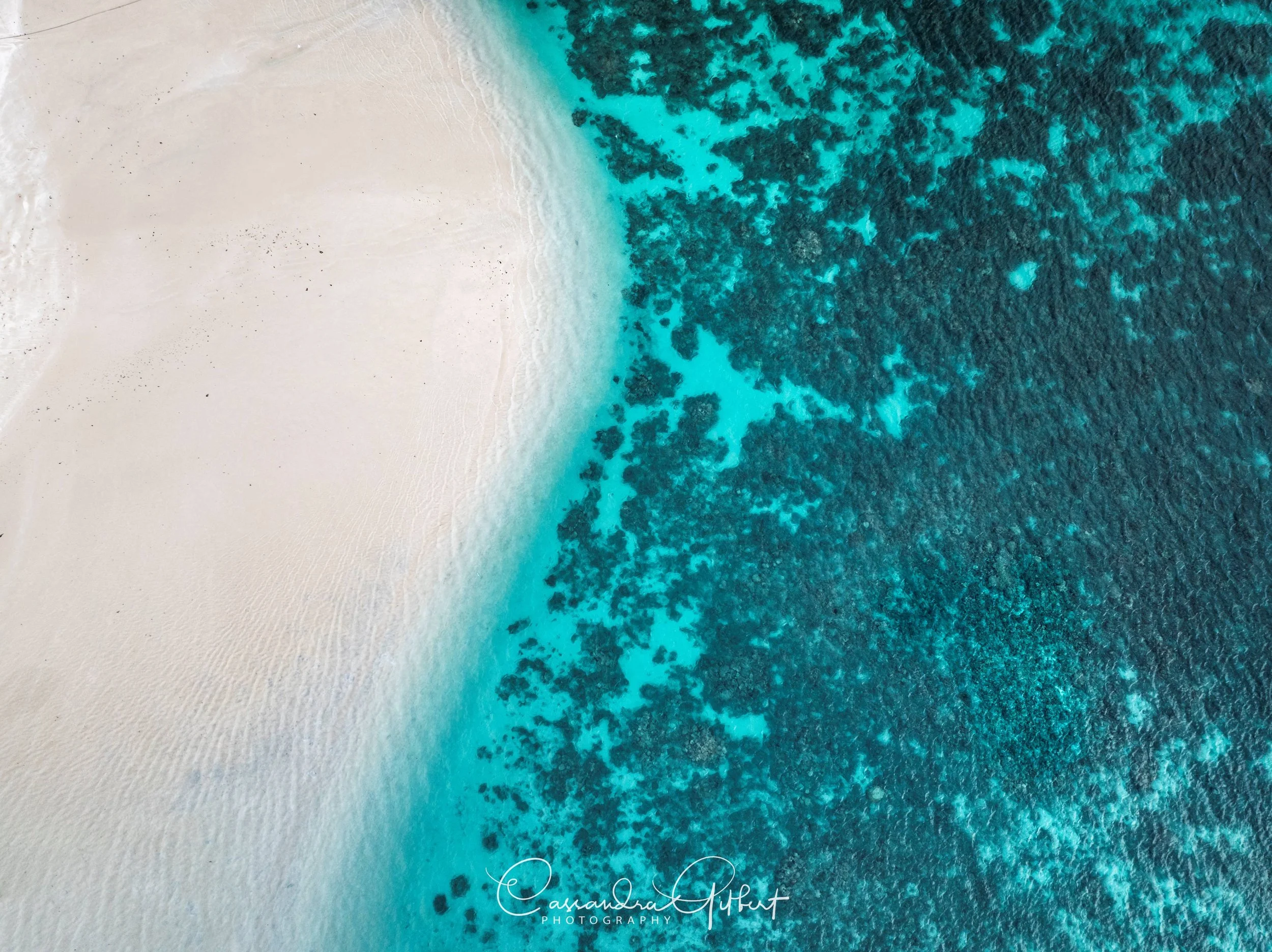 Coral Bay 06