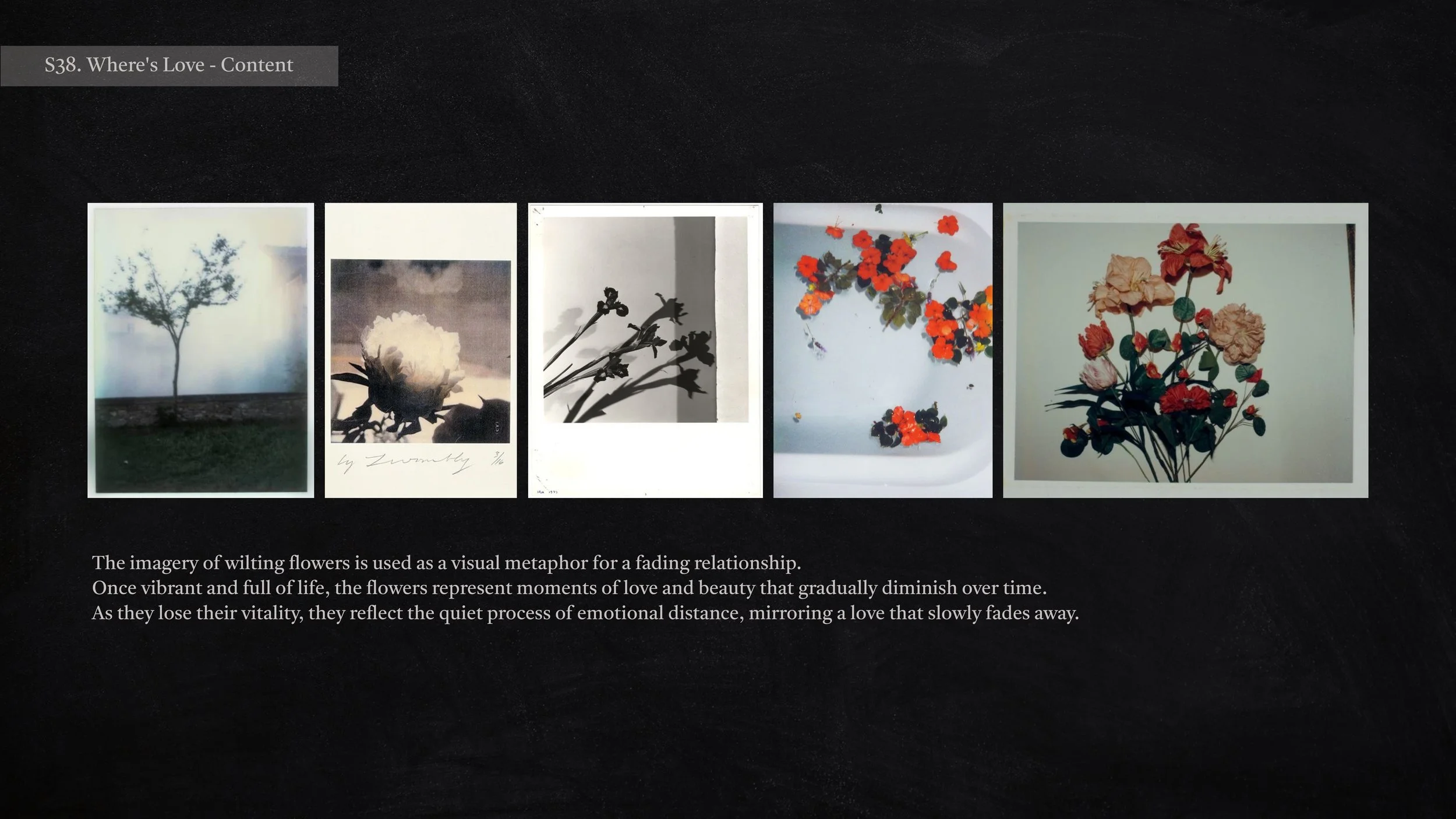 XOXO 262_page-0043.jpg