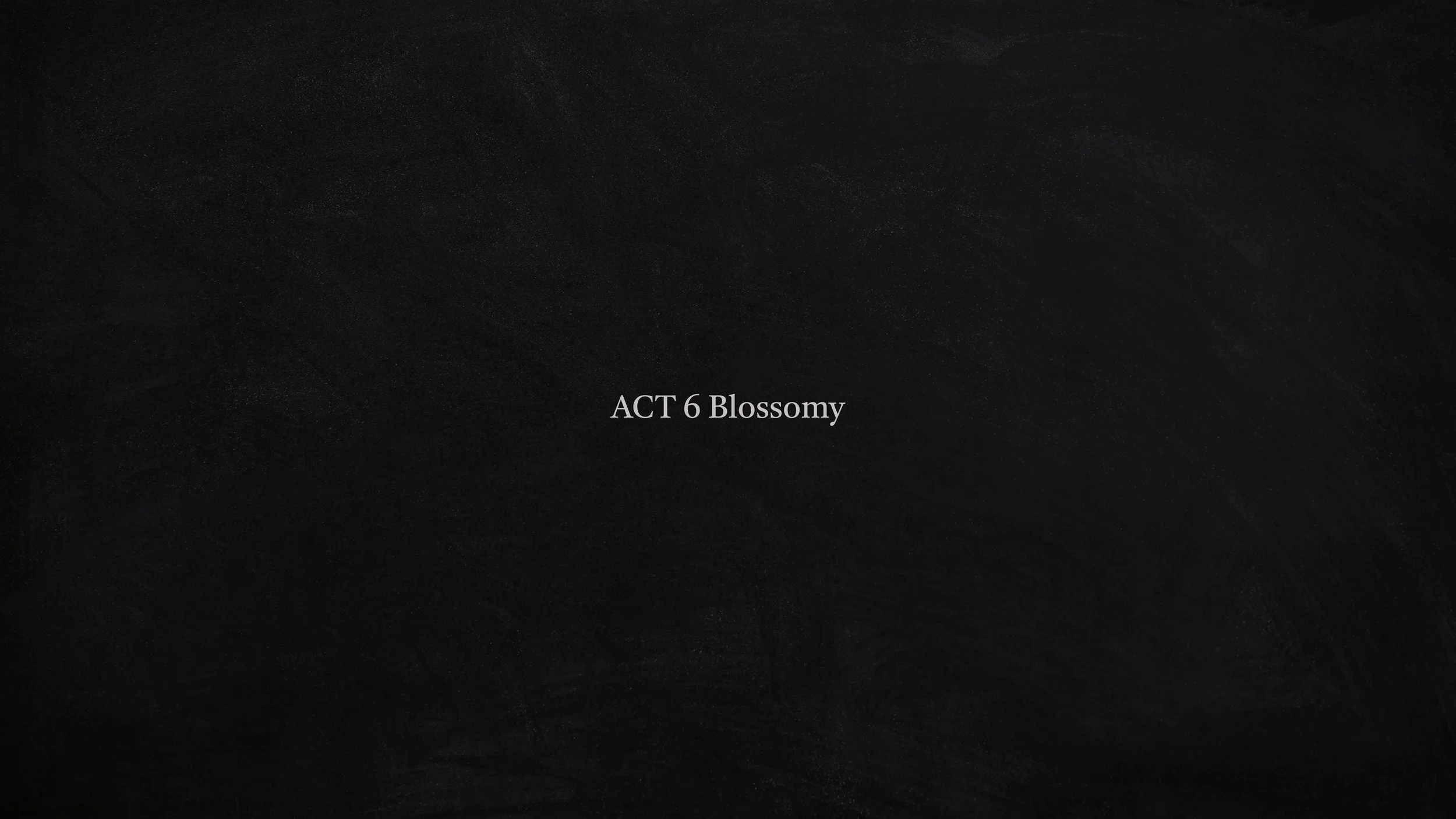 XOXO 262_page-0014.jpg