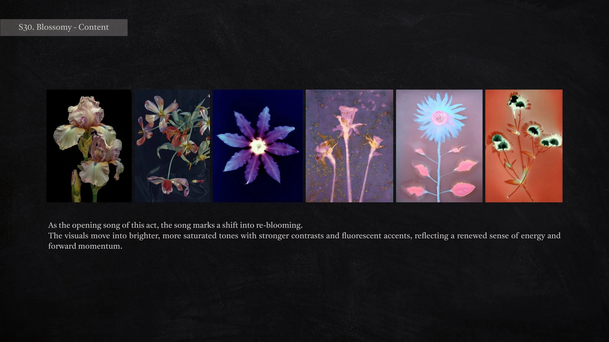 XOXO 262_page-0017.jpg