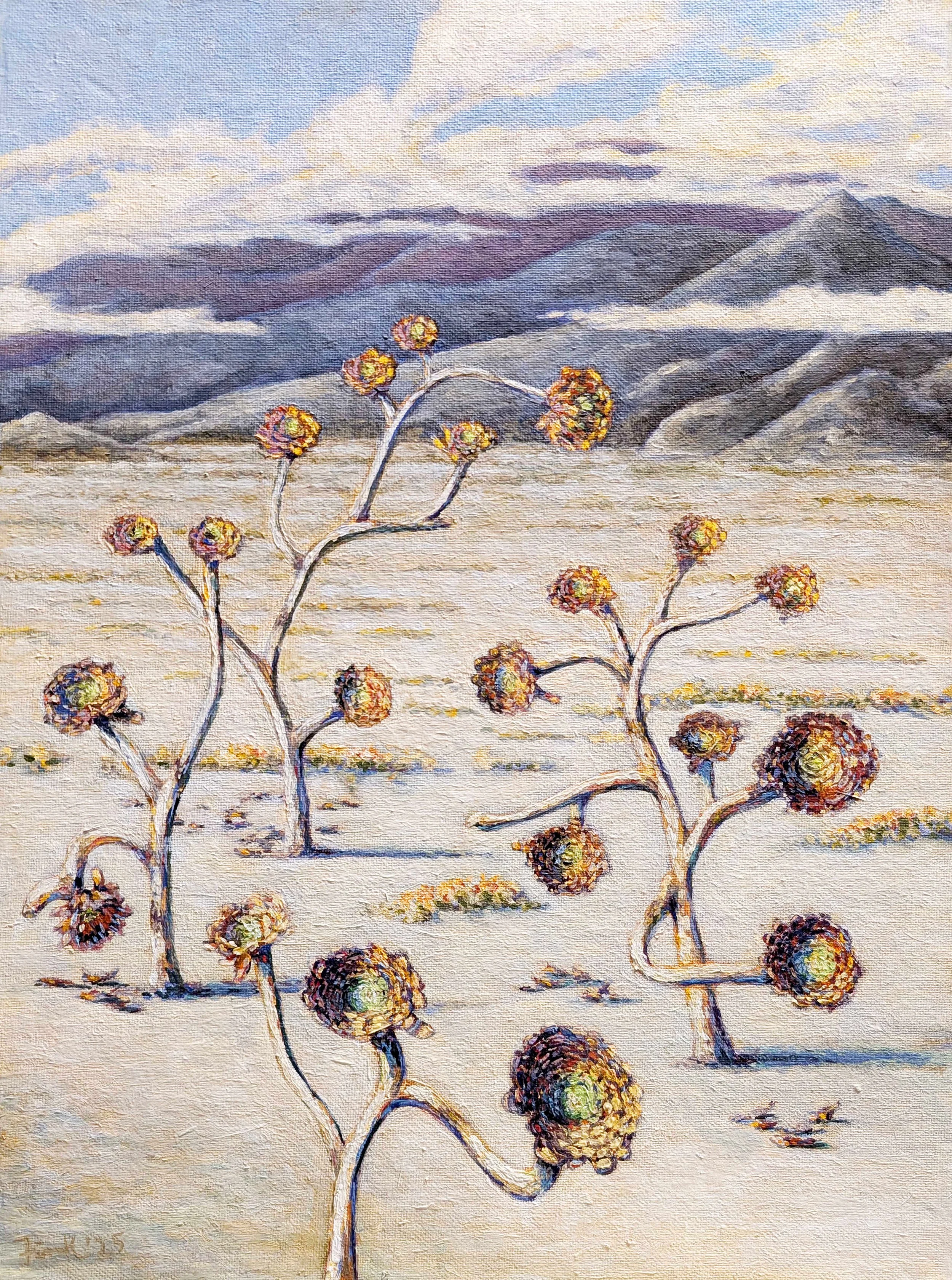 ‘Mars’ plants in a desert landscape, 12x16 2025. Oil on canvas board. 
Rising as a solitary stalk from the sandy soil of Seaside, California, one of my mother’s favorite plants—the Aeonium Black Rose succulent—earned her nickname “the Mars plant” for