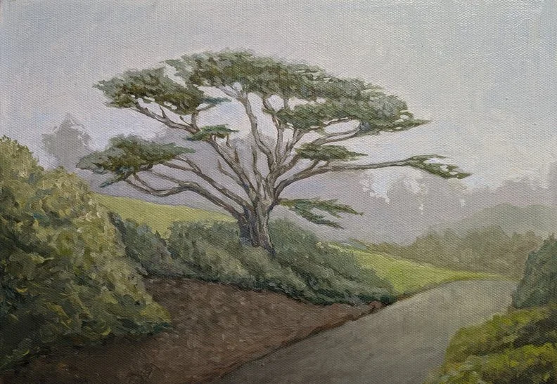 Alamo Square Cypress Tree, 9x12 2026. Oil on canvas board.  A painting done for a painting workshop held at the West Portal Gallery in San Francisco.   (Available)   