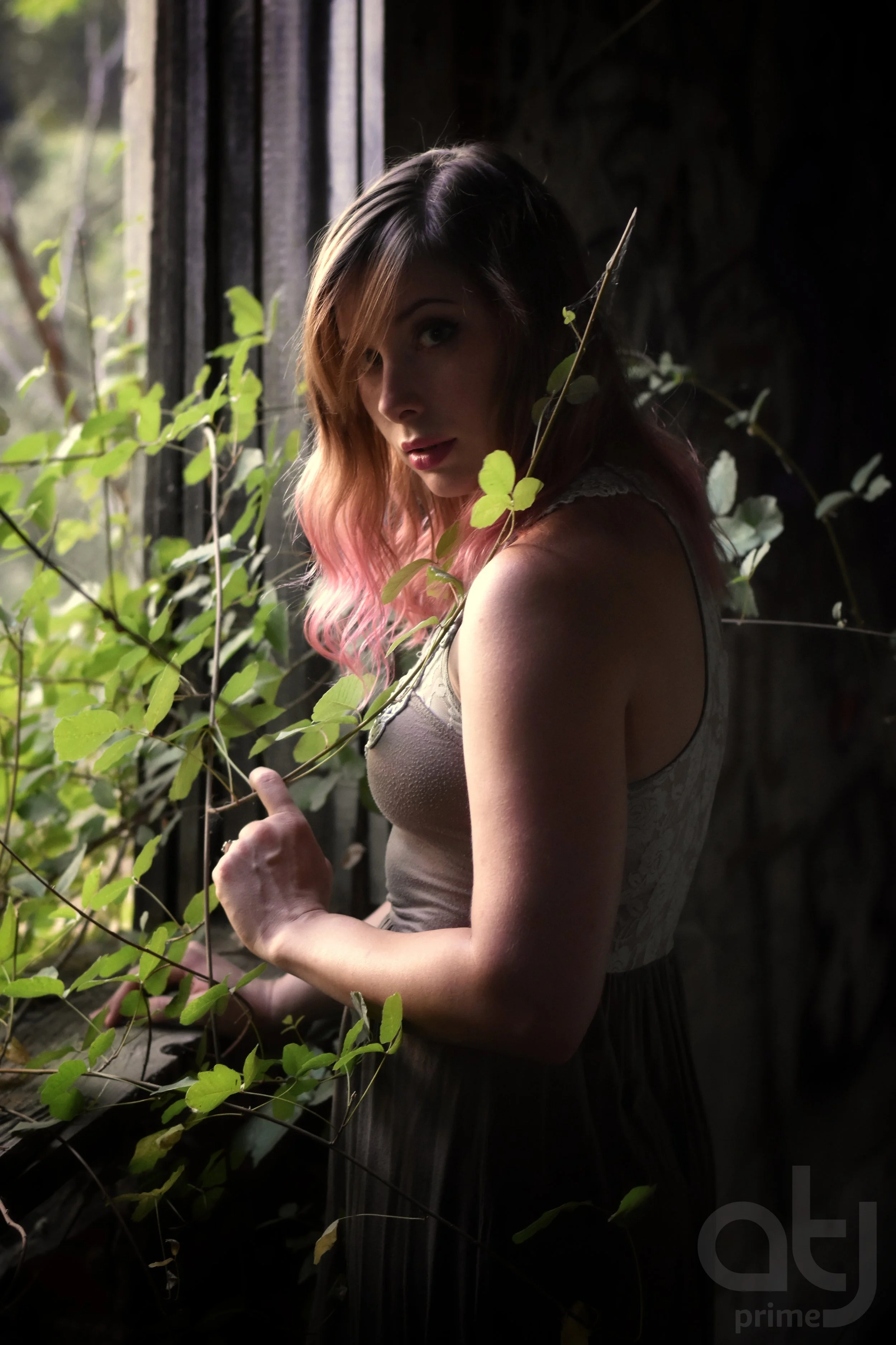 Old Shoot 001 pWM.jpg