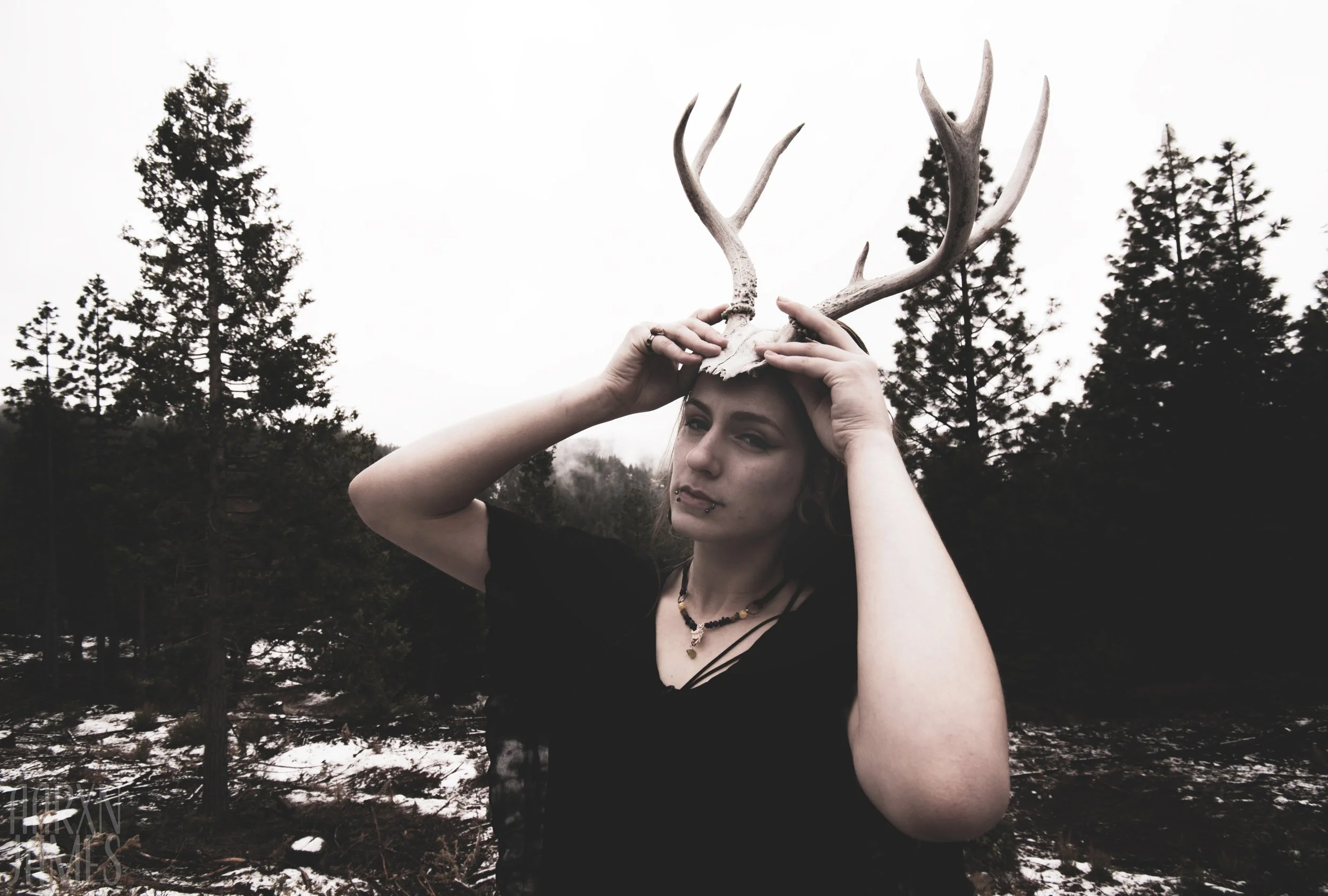 Dawn Antler Shoot 08 WM.jpg