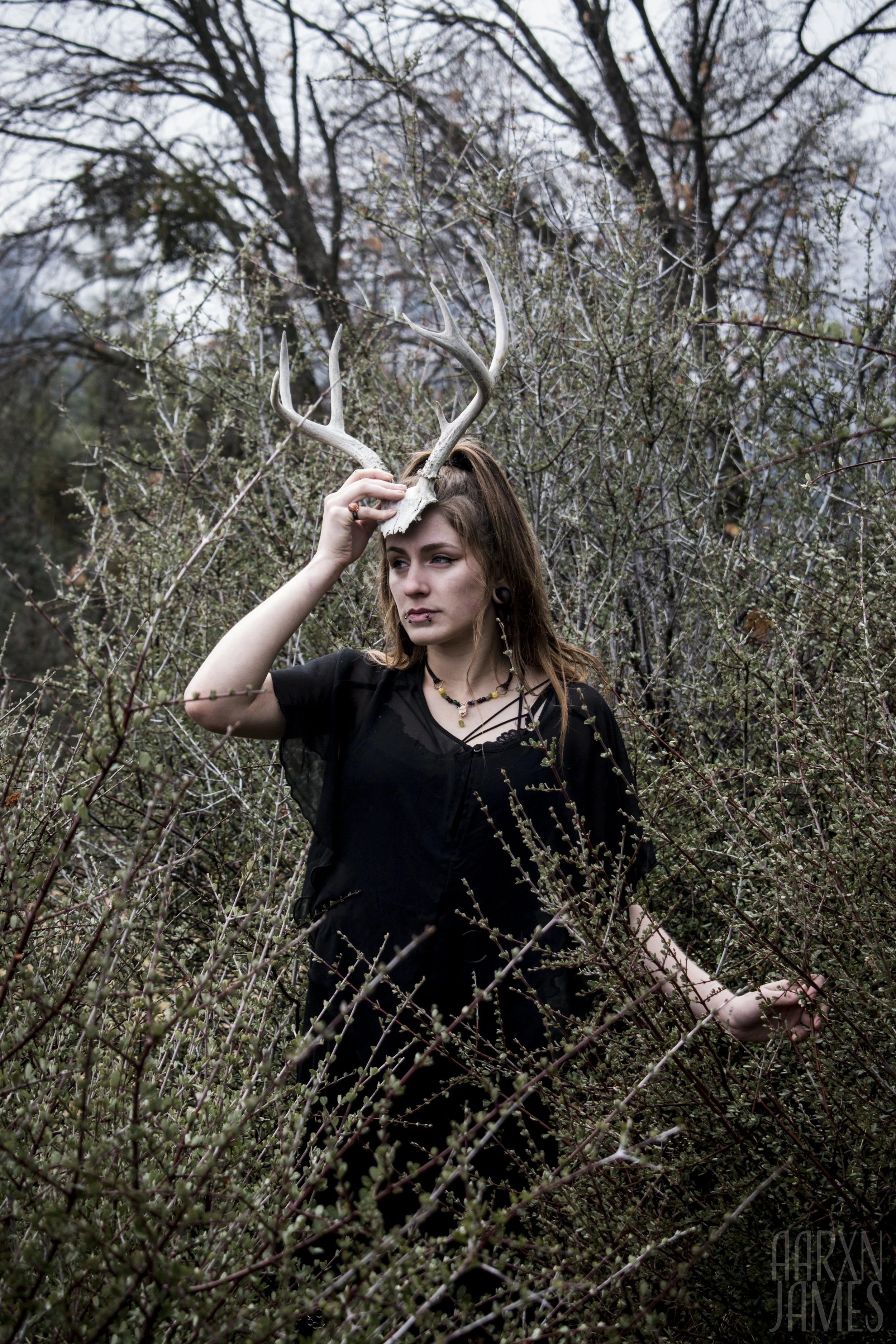 Dawn Antler Shoot 22 WM.jpg