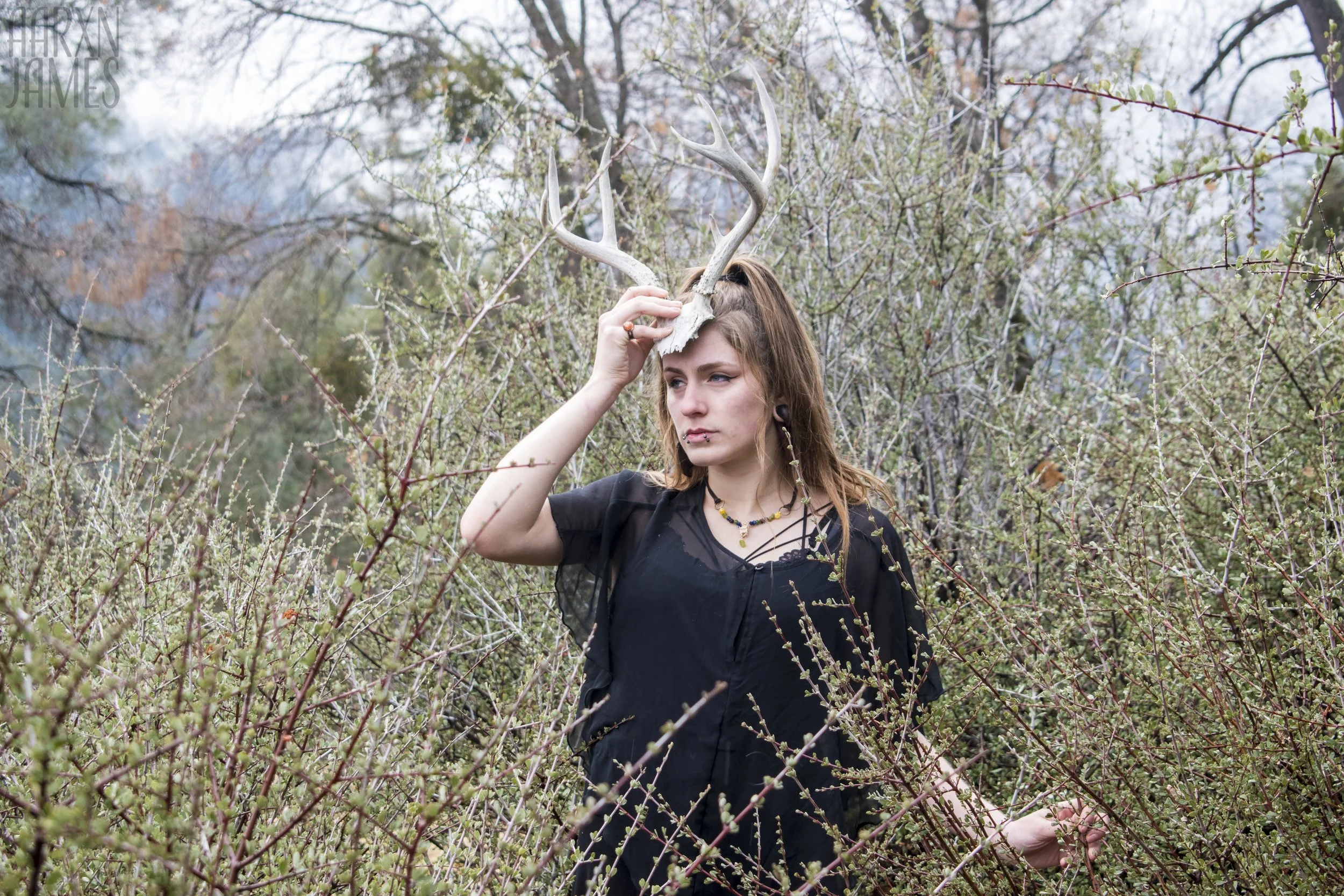 Dawn Antler Shoot 21 WM.jpg