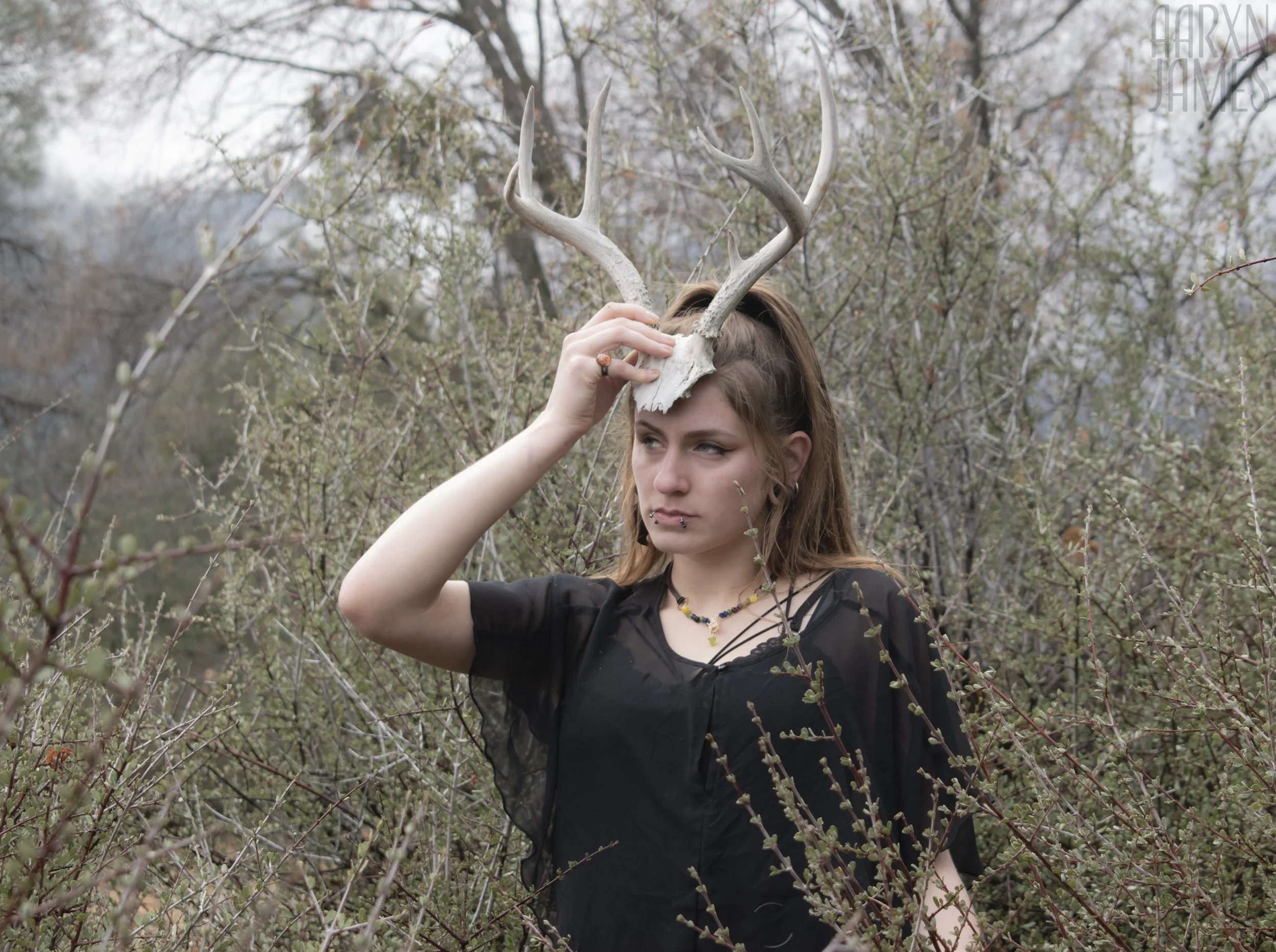 Dawn Antler Shoot 20 WM.jpg