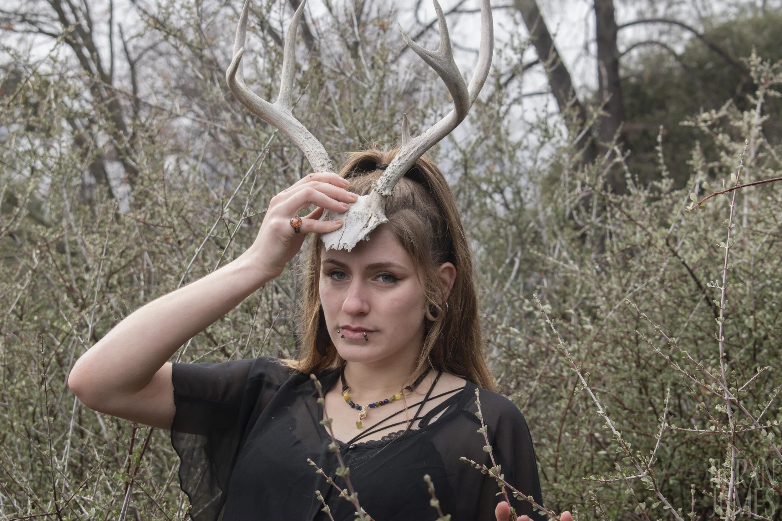 Dawn Antler Shoot 19 WM.jpg