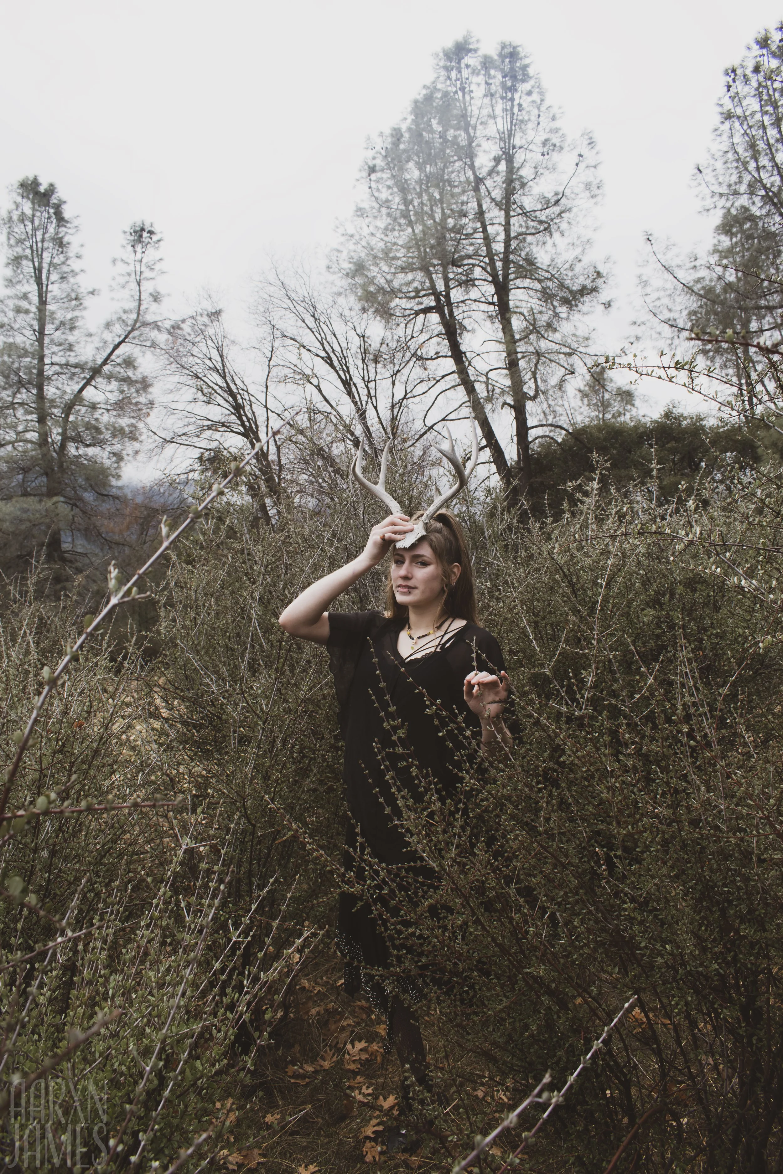 Dawn Antler Shoot 18 WM.jpg