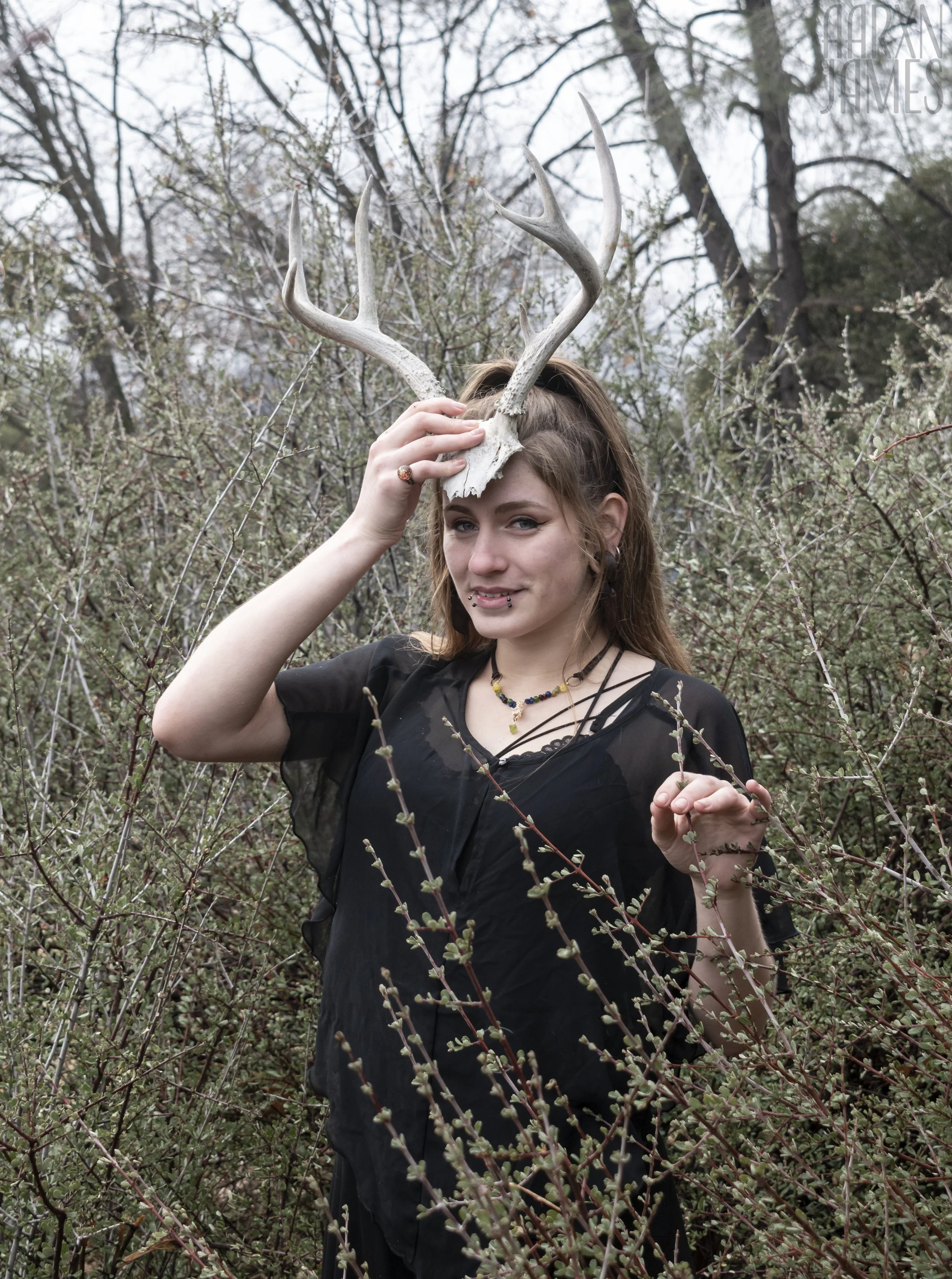 Dawn Antler Shoot 17 WM.jpg
