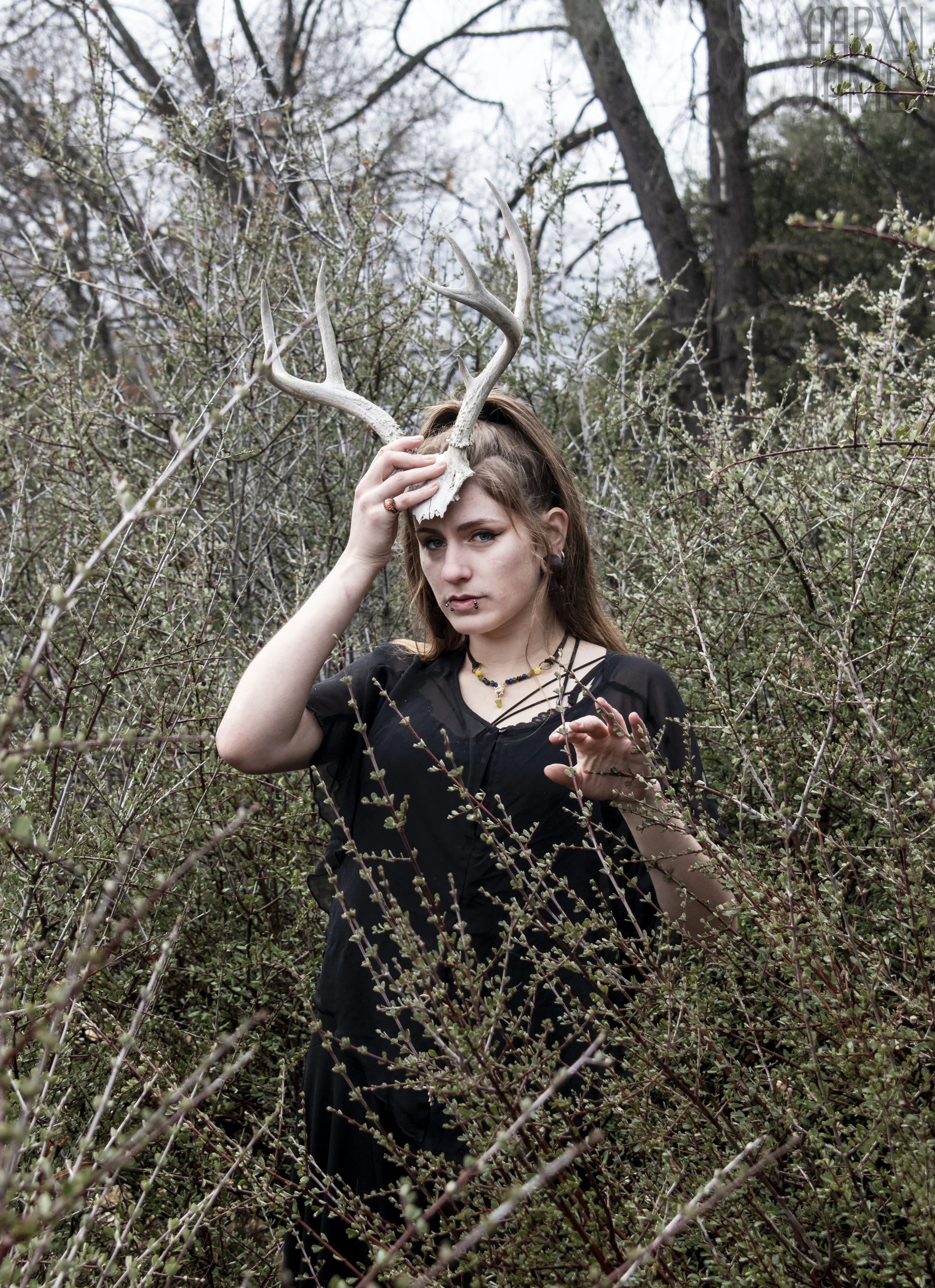 Dawn Antler Shoot 16 WM.jpg