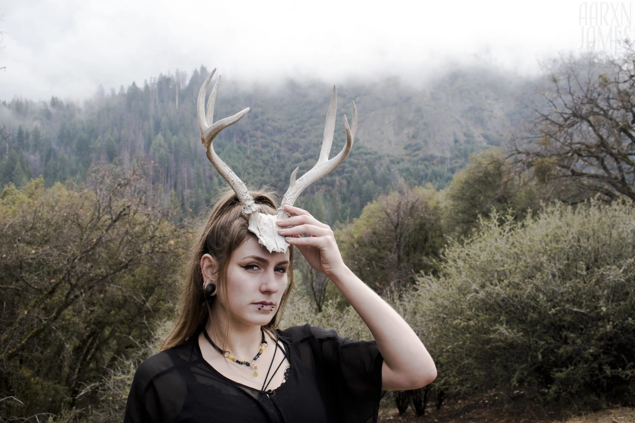 Dawn Antler Shoot 15 WM.jpg